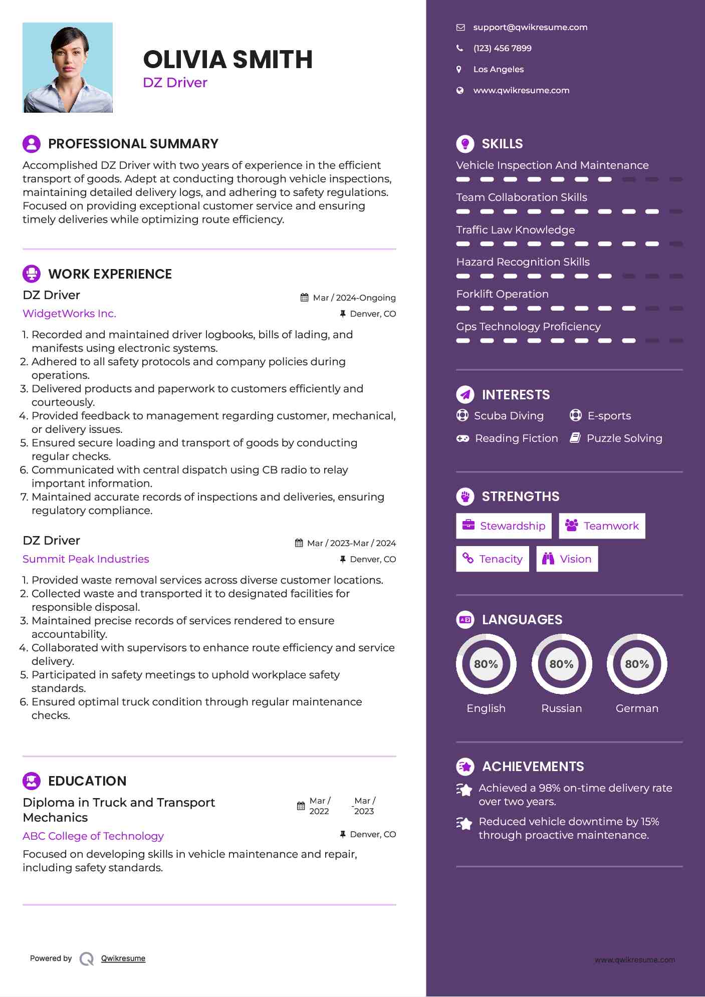 DZ Driver Resume Example