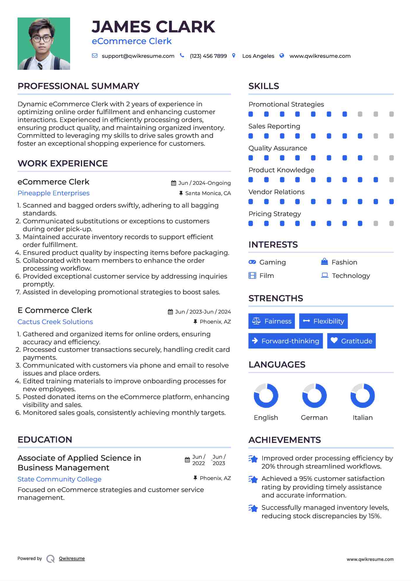 eCommerce Clerk Resume Example