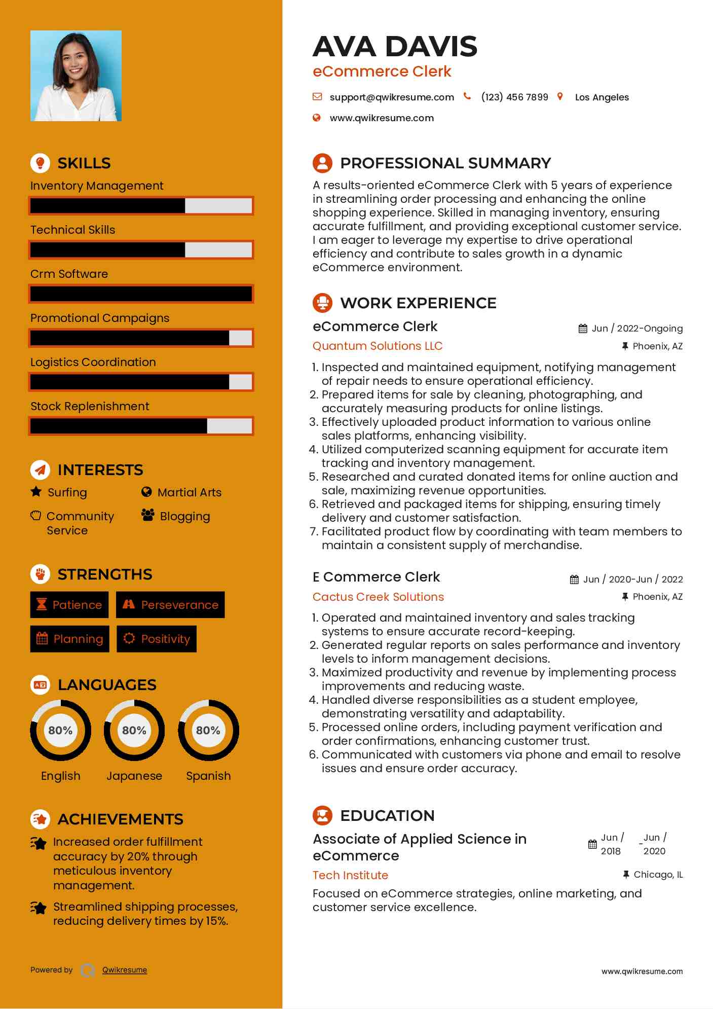 eCommerce Clerk Resume Example