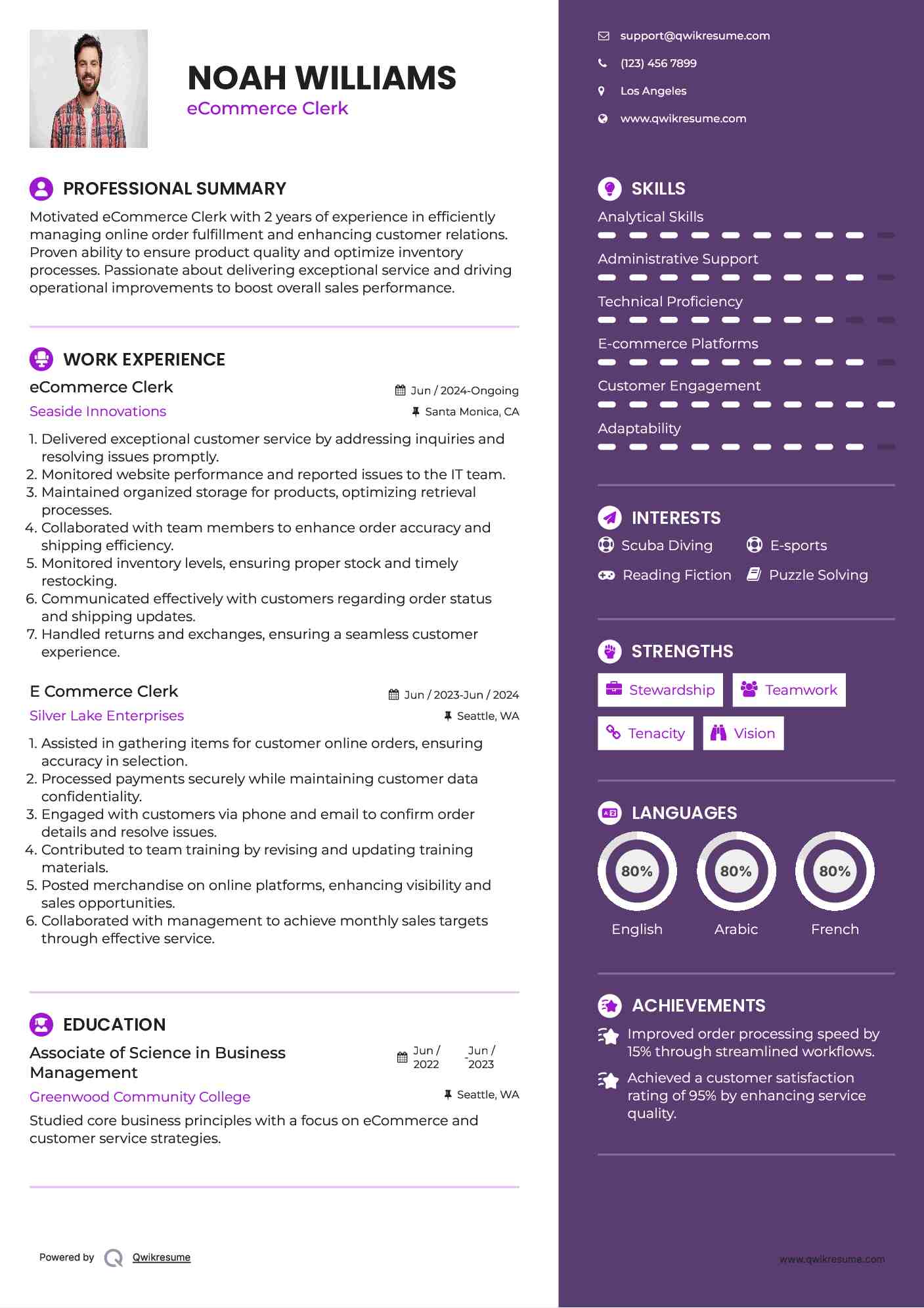 eCommerce Clerk Resume Sample