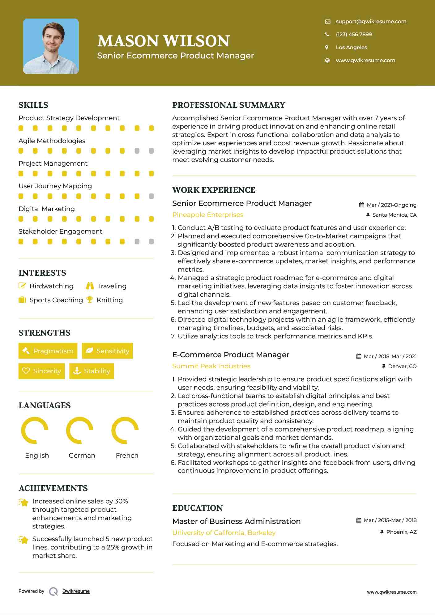 Senior Ecommerce Product Manager Resume Example