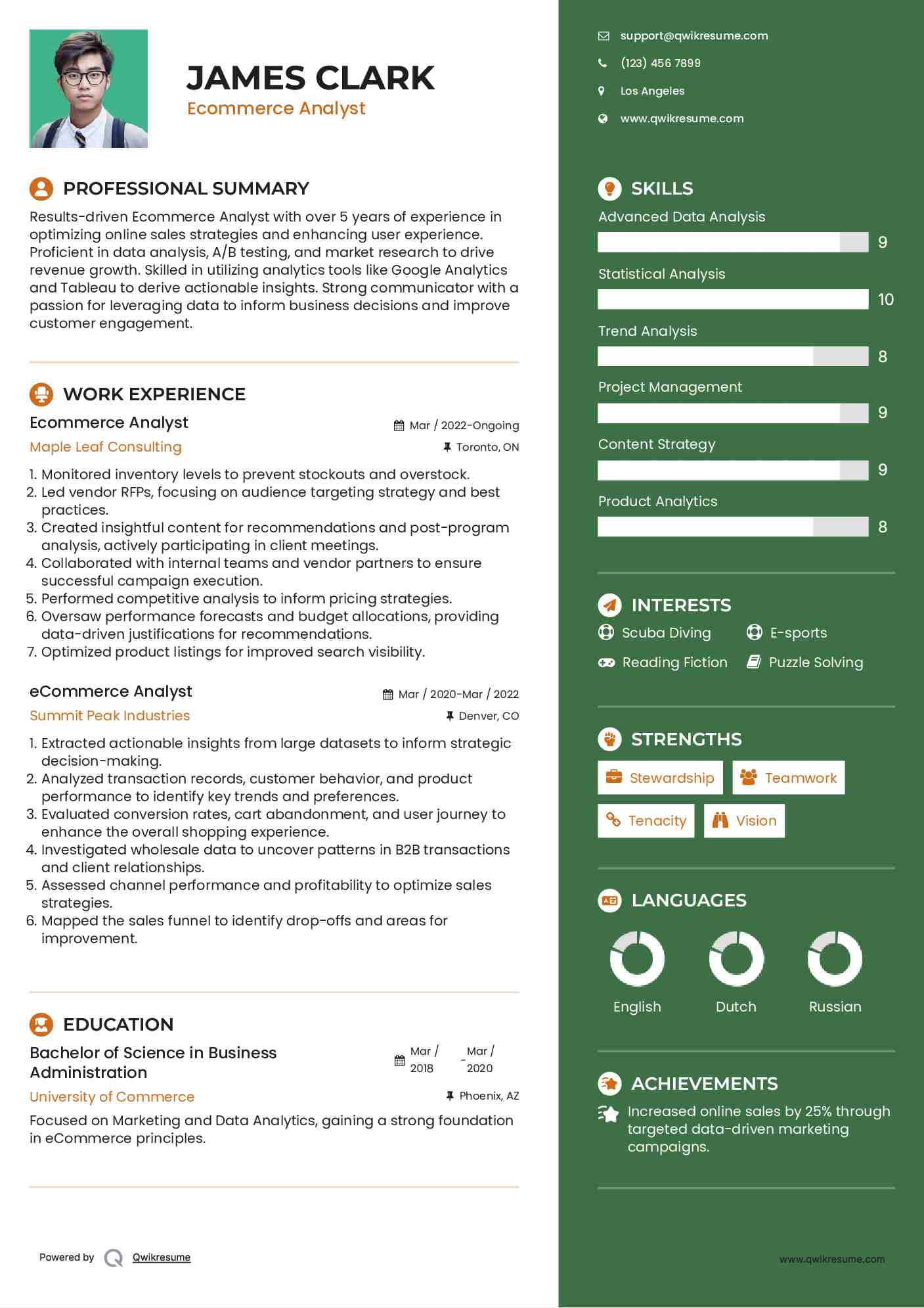 Ecommerce Analyst Resume Example