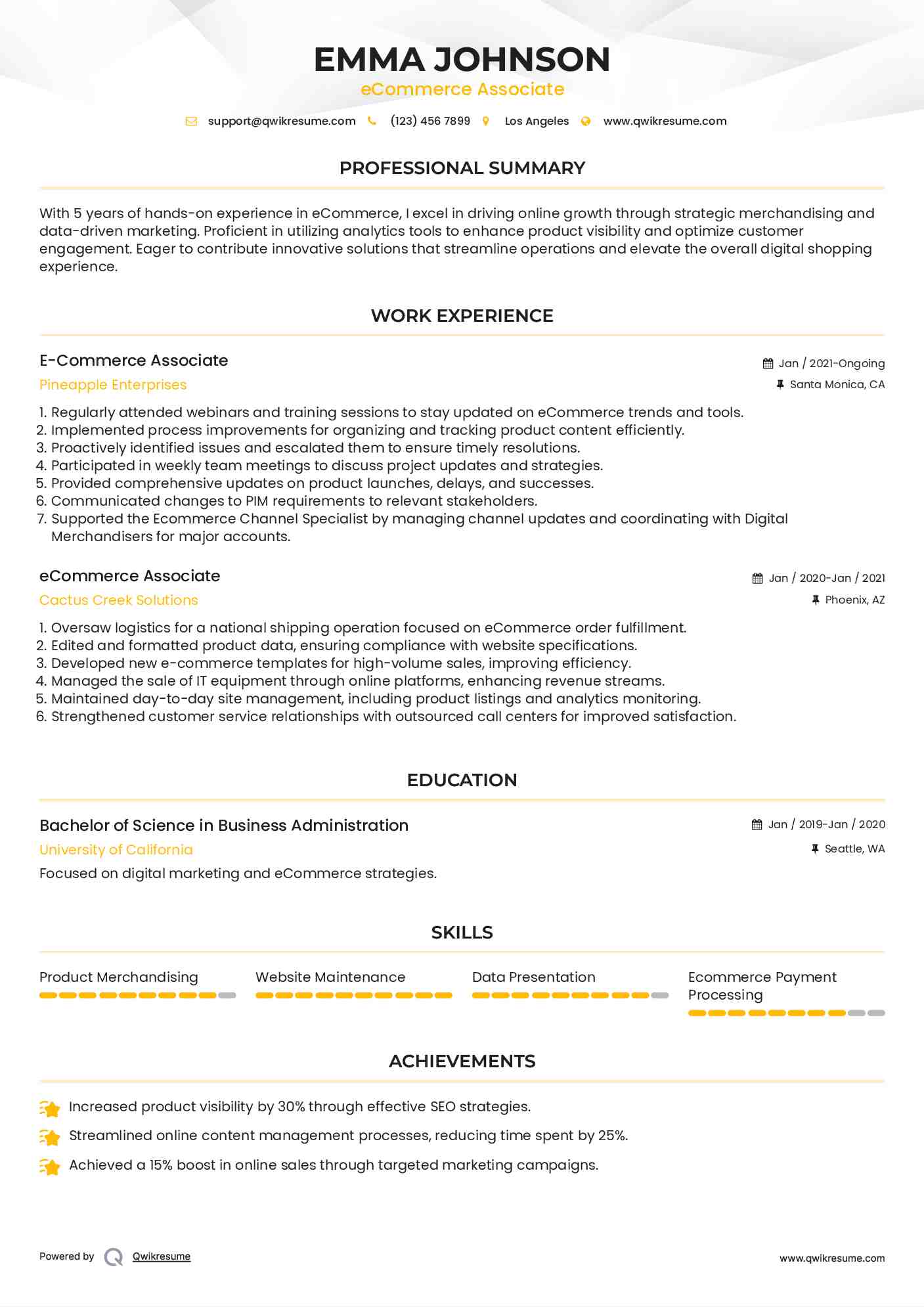E-Commerce Associate Resume Format