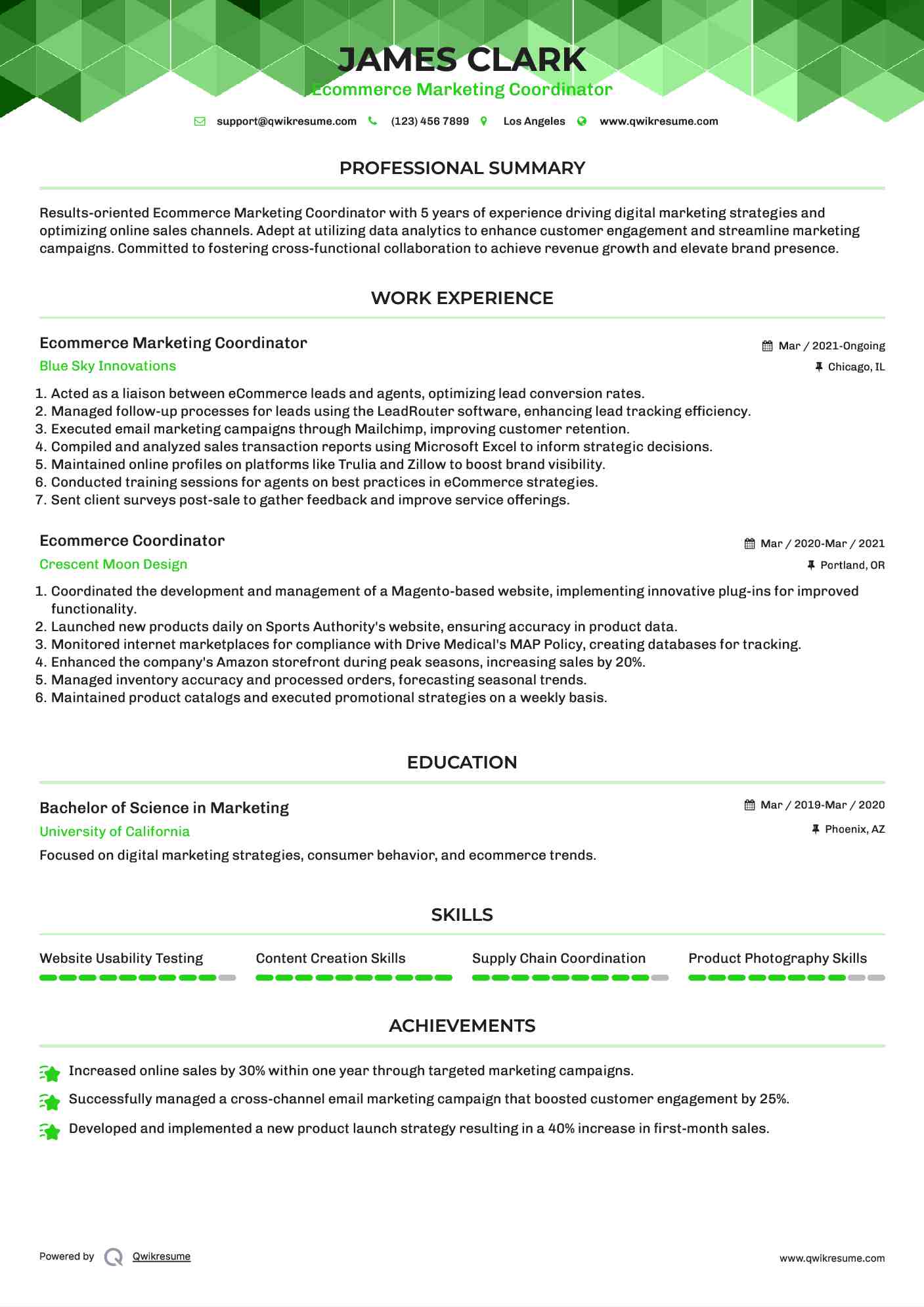 Ecommerce Marketing Coordinator Resume Sample