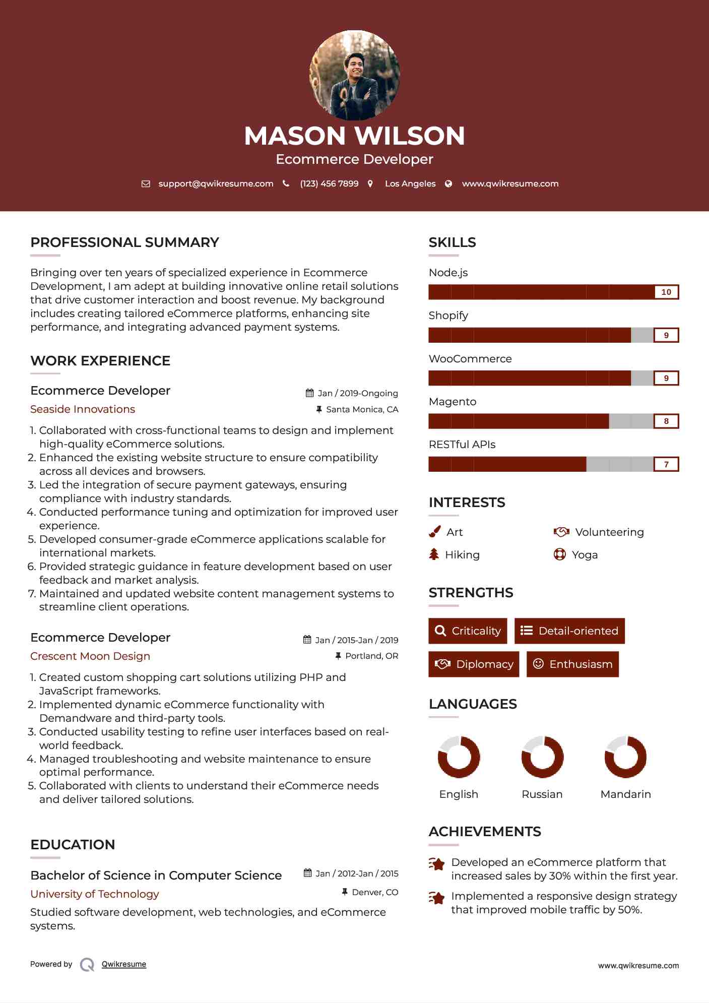 Ecommerce Developer Resume Model
