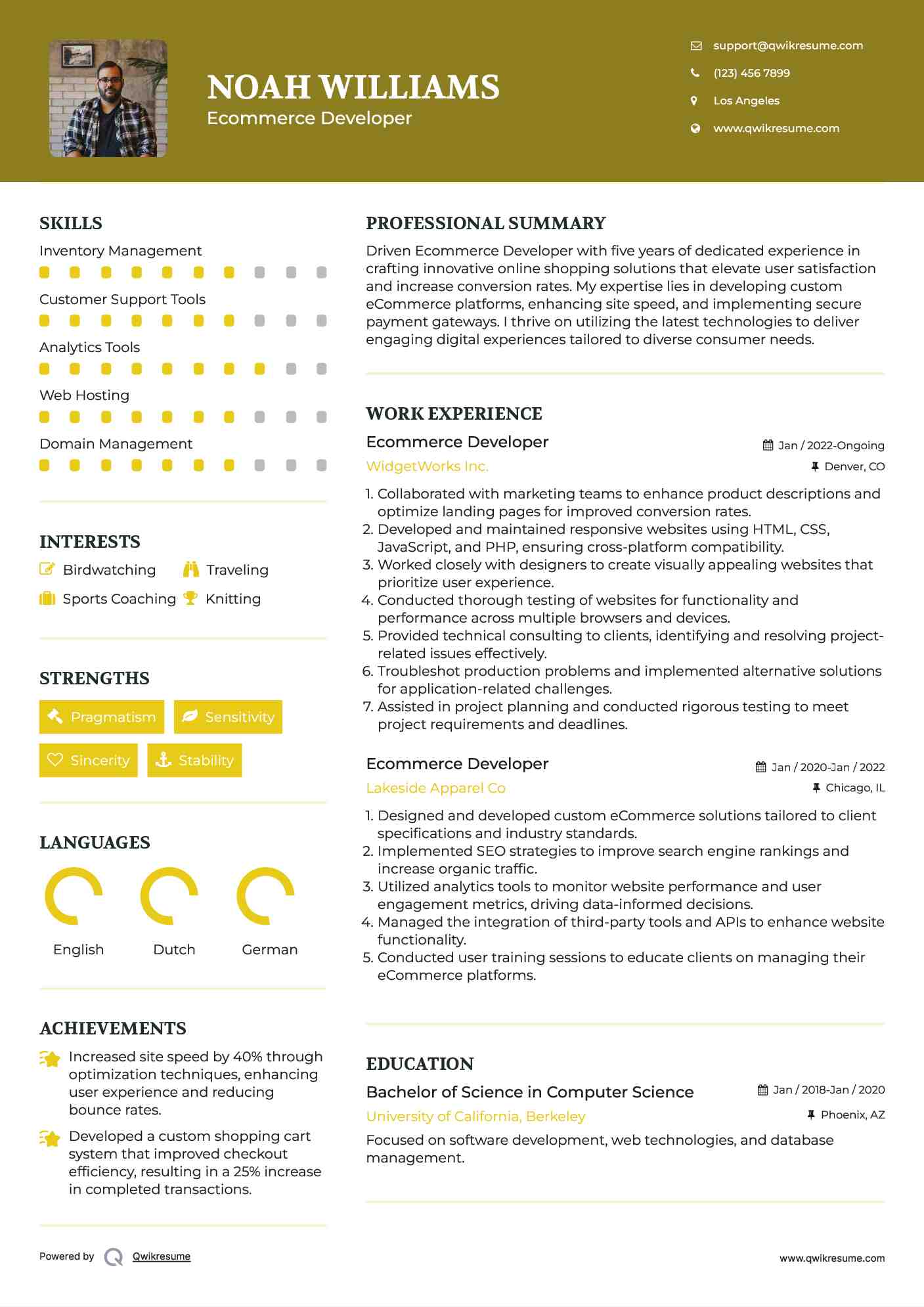 Ecommerce Developer Resume Sample