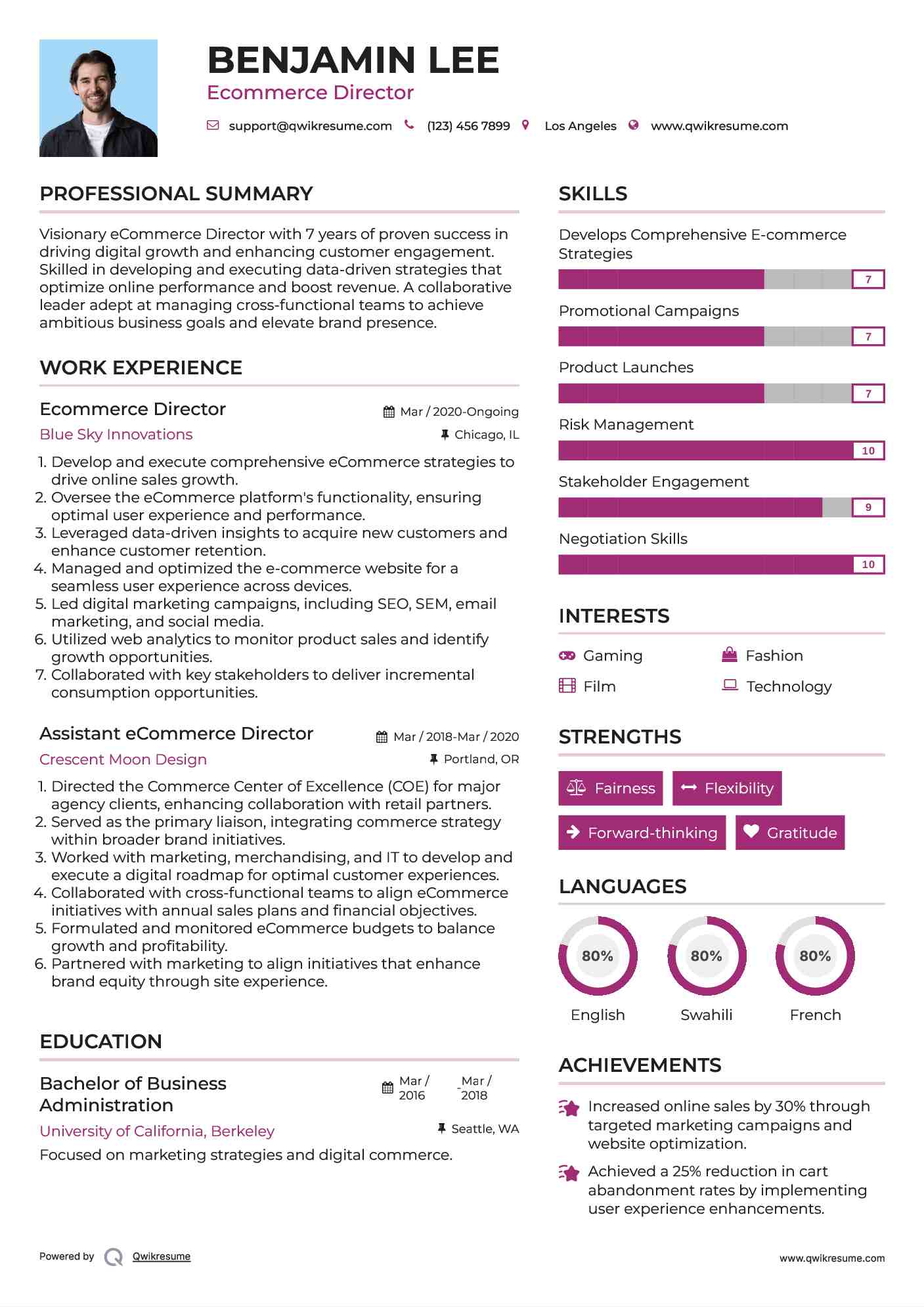 Ecommerce Director Resume Example