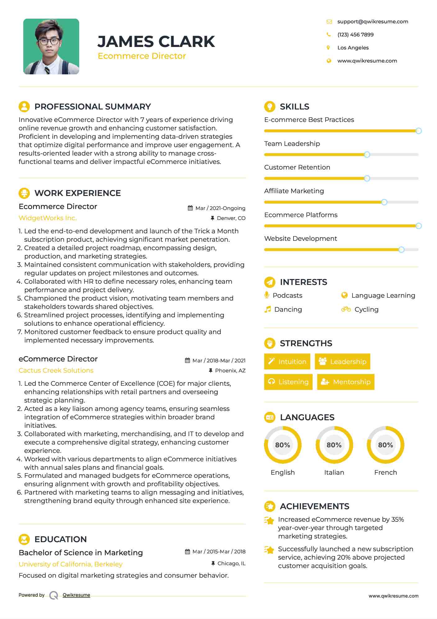 Ecommerce Director Resume Model