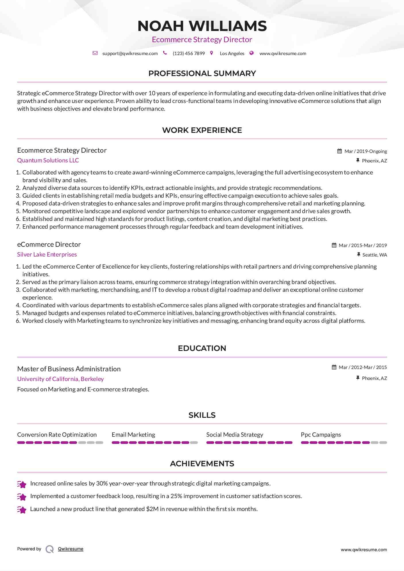 Ecommerce Strategy Director

 Resume Template