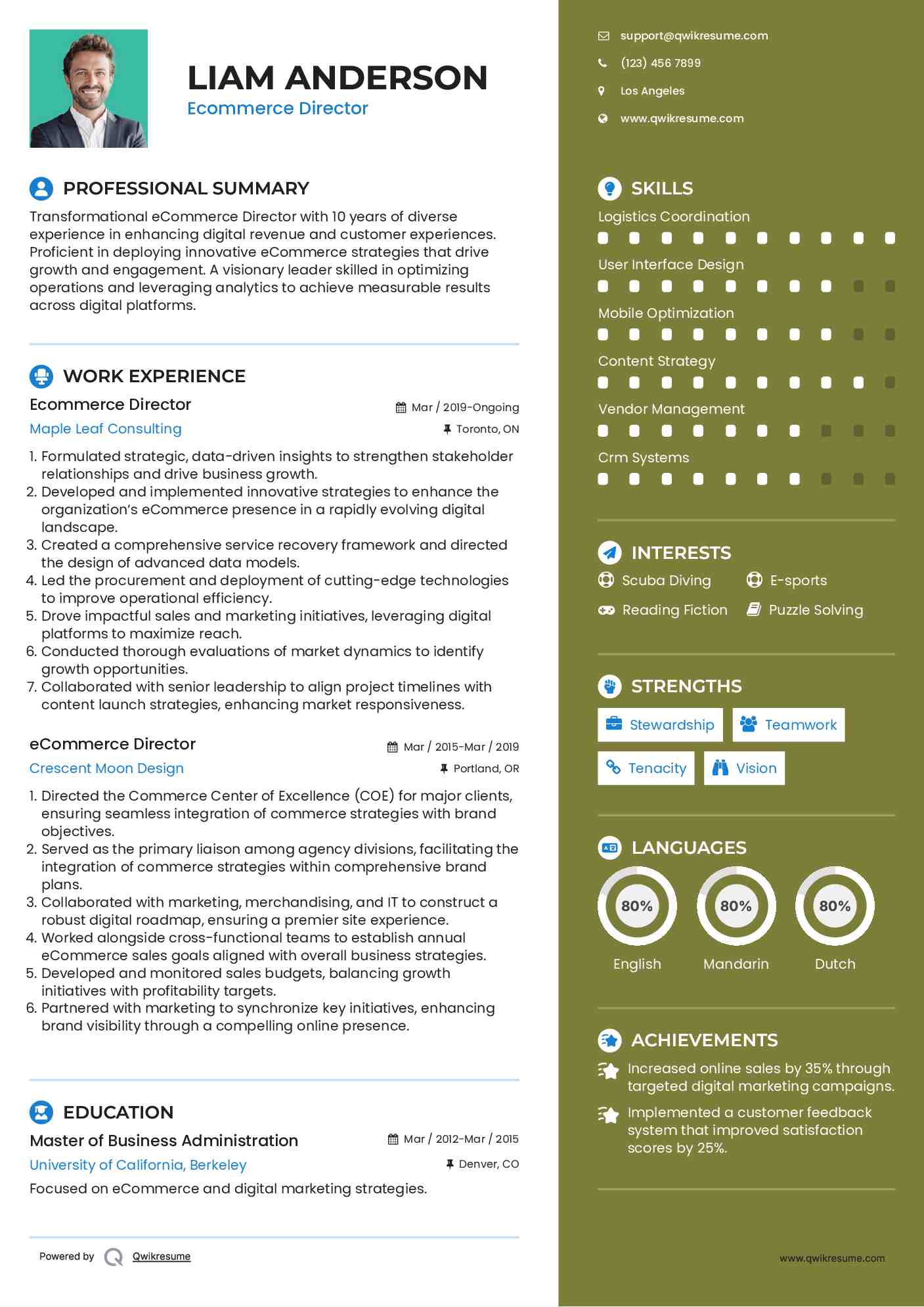 Ecommerce Director Resume Format