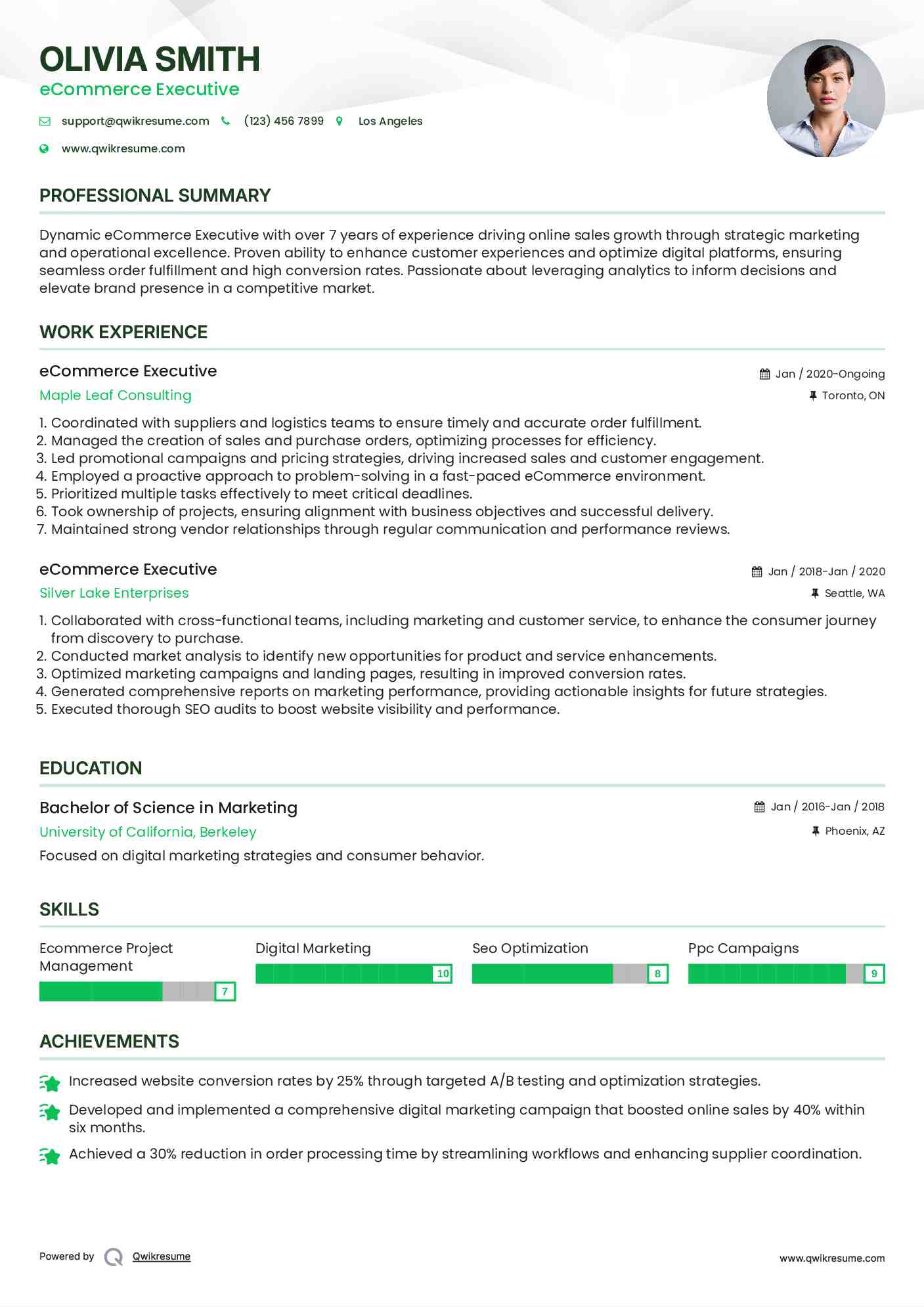eCommerce Executive Resume Format