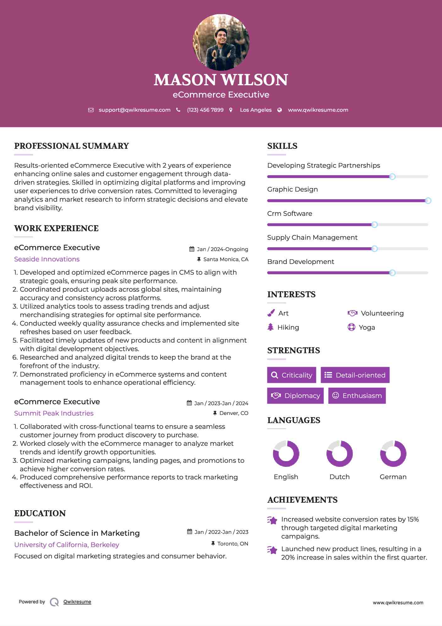 eCommerce Executive Resume Template