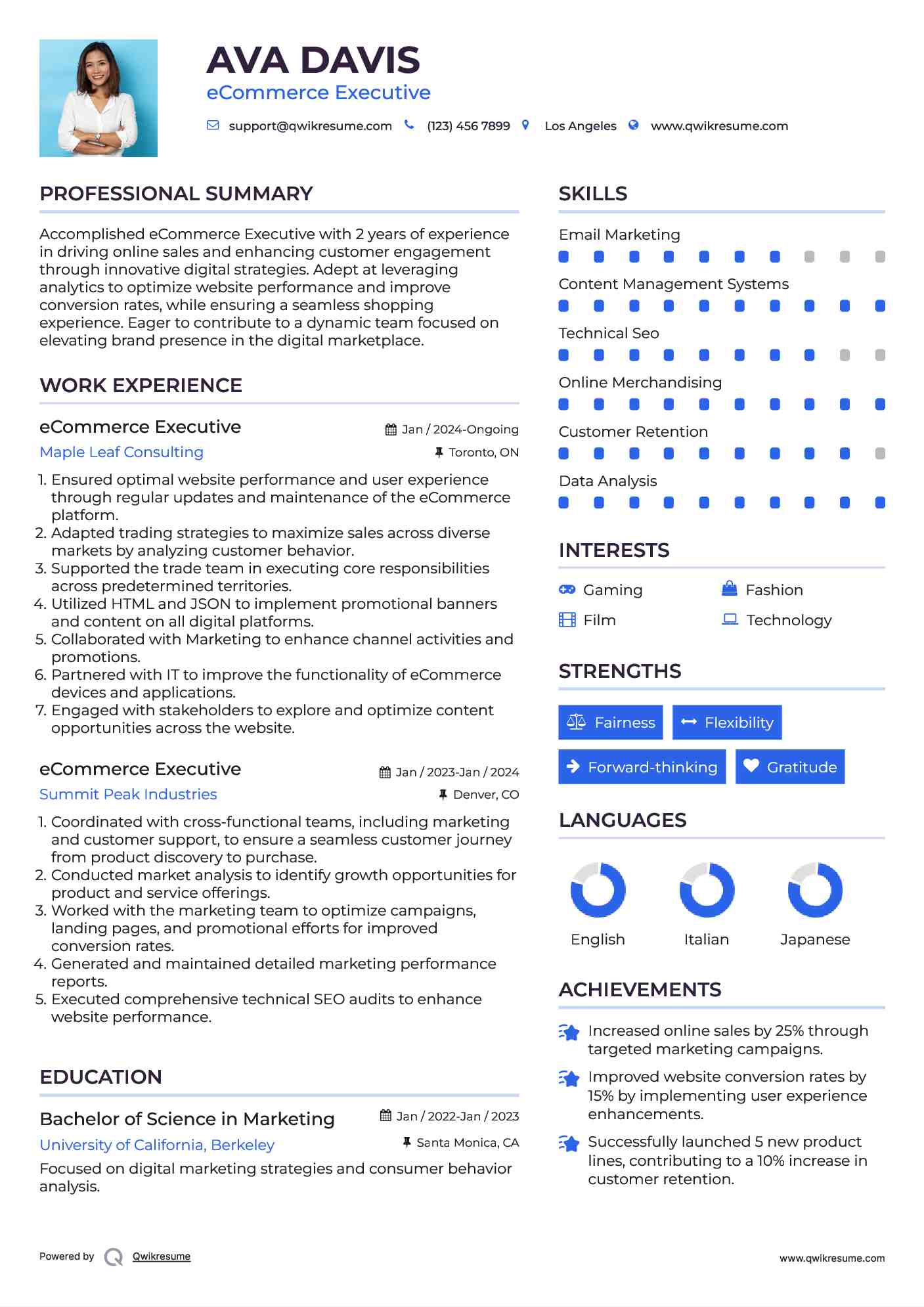 eCommerce Executive Resume Model