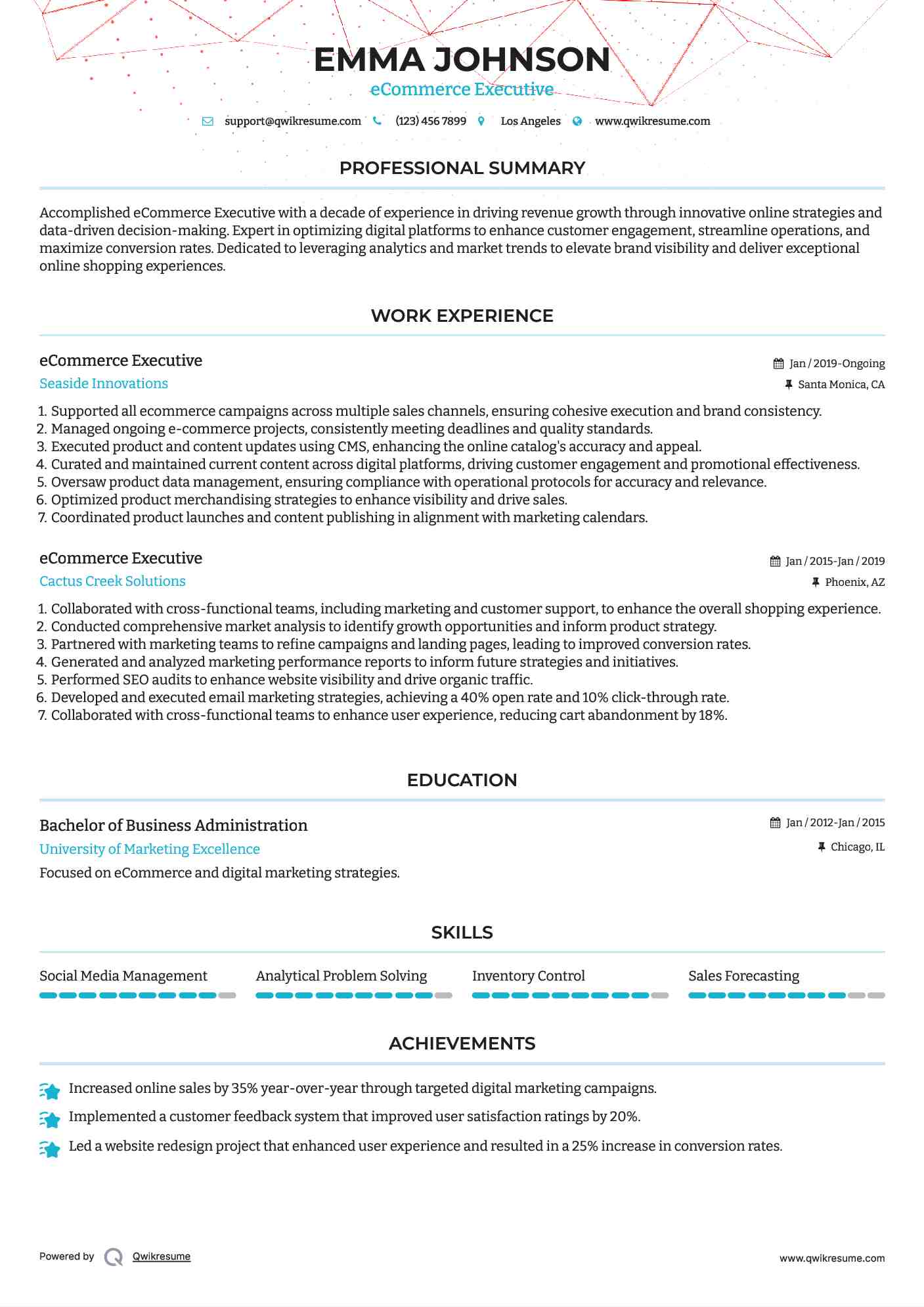 eCommerce Executive Resume Format