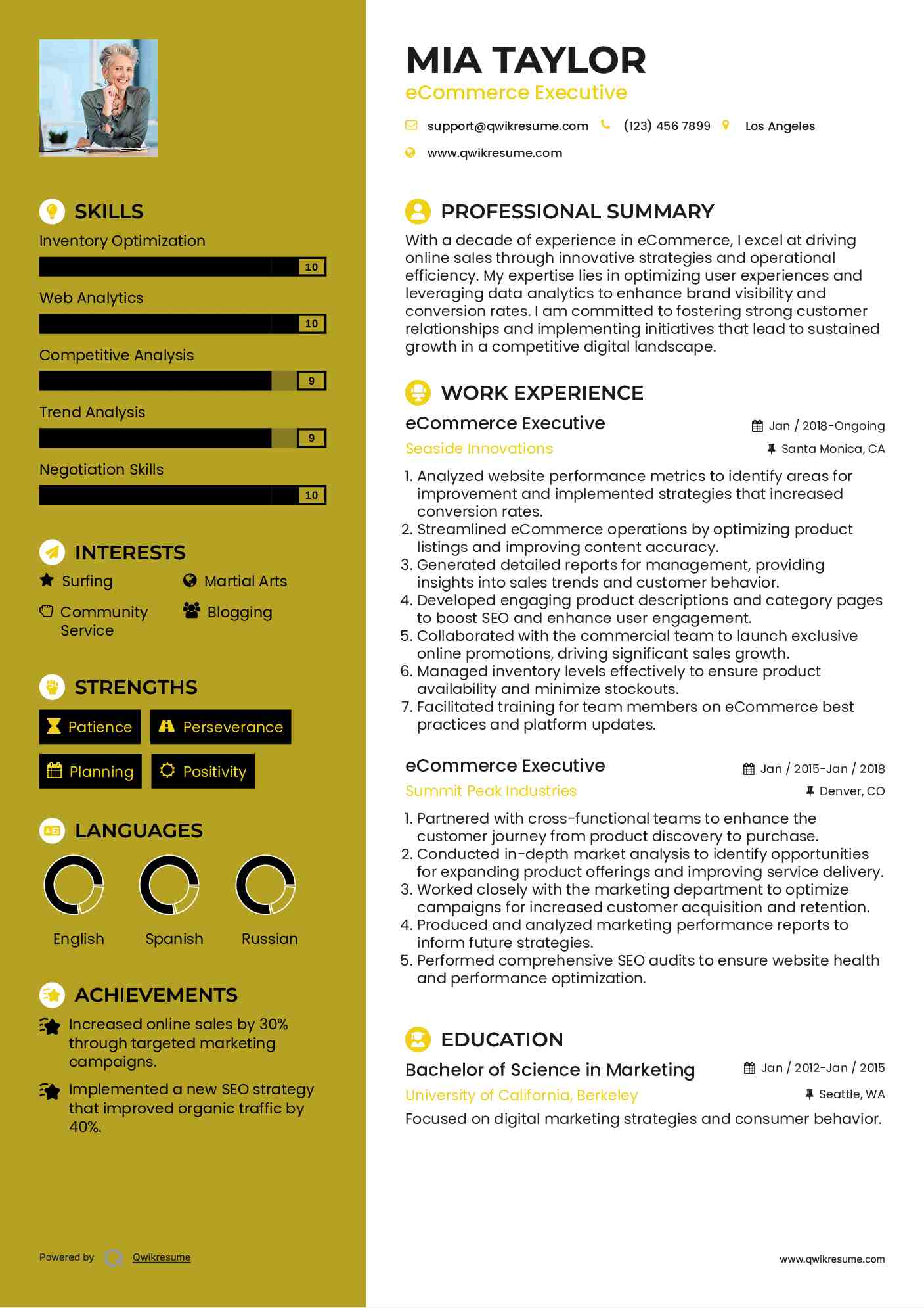 eCommerce Executive Resume Model