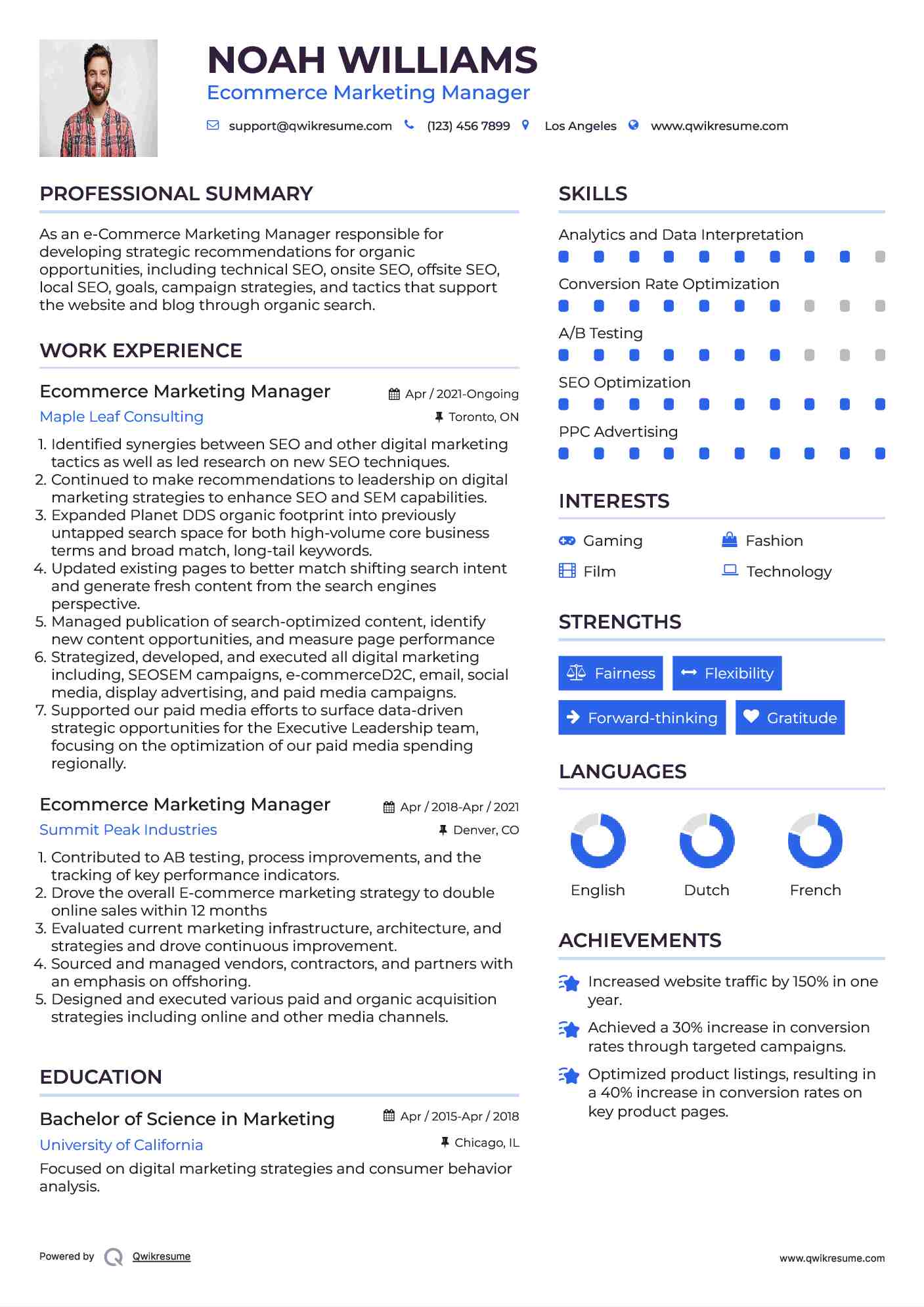 Ecommerce Marketing Manager Resume Model