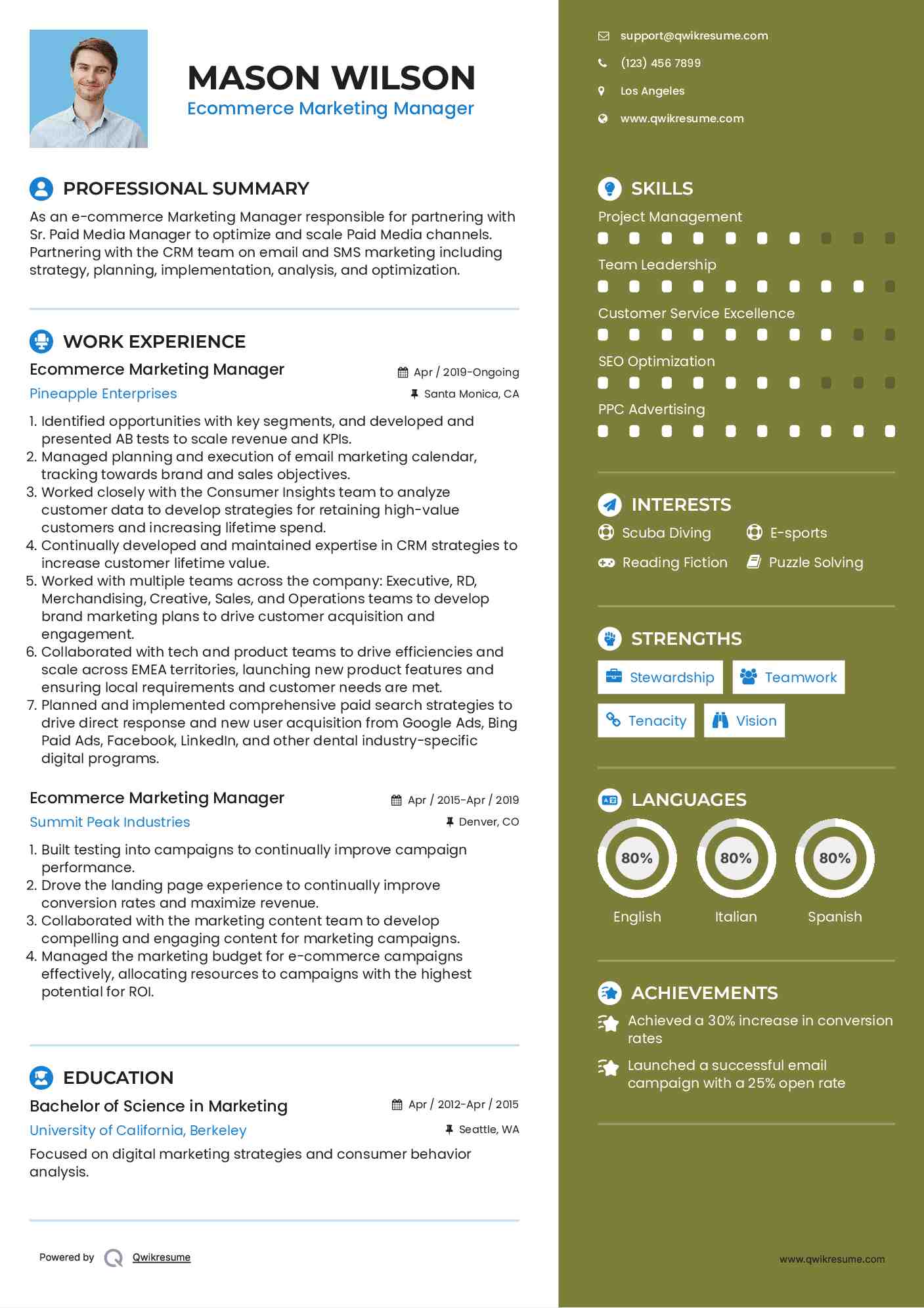 Ecommerce Marketing Manager Resume Example