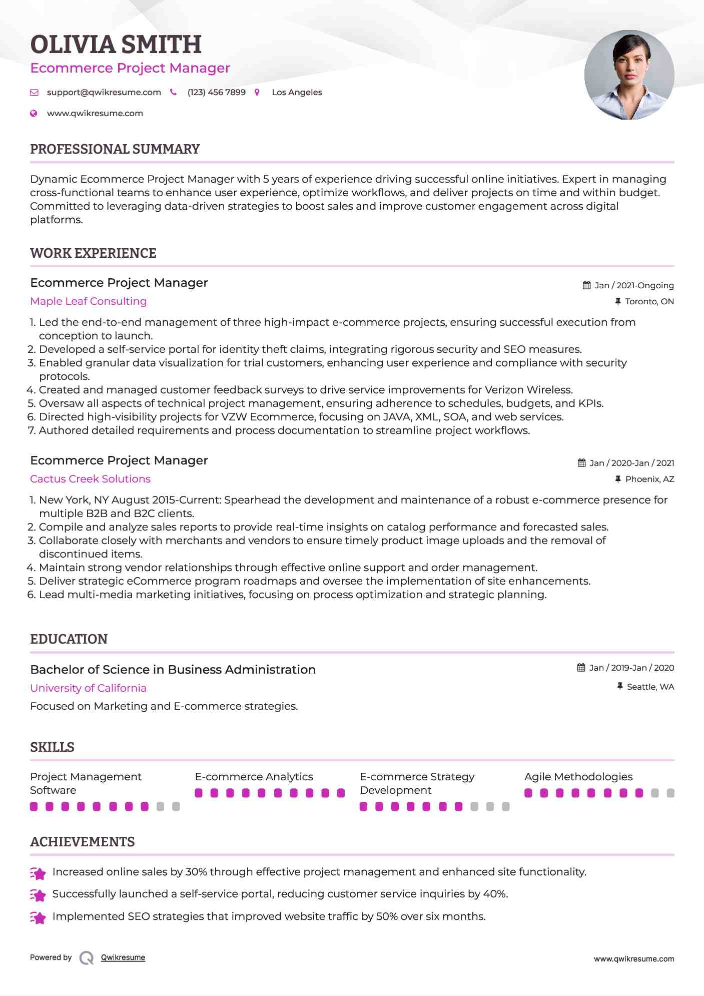 Ecommerce Project Manager Resume Example