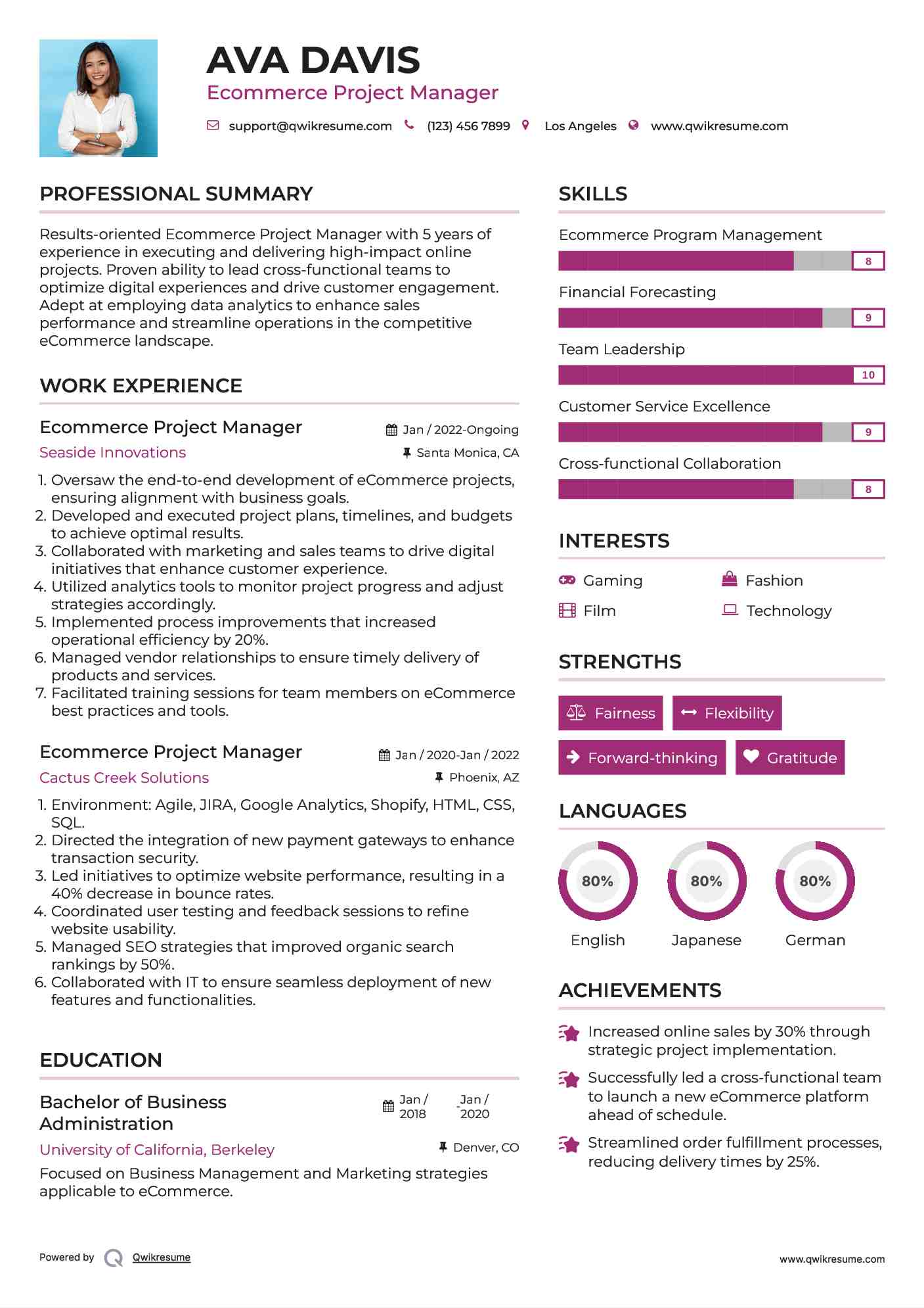 Ecommerce Project Manager Resume Template