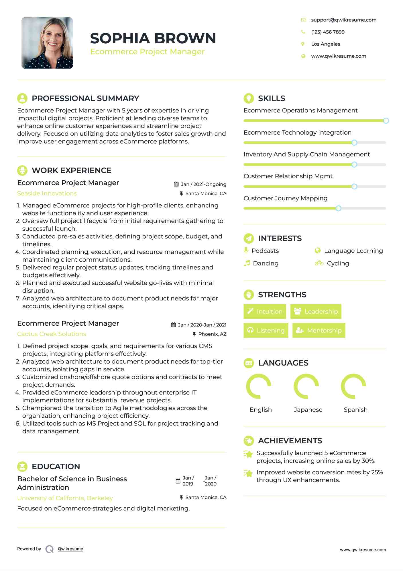 Ecommerce Project Manager Resume Model