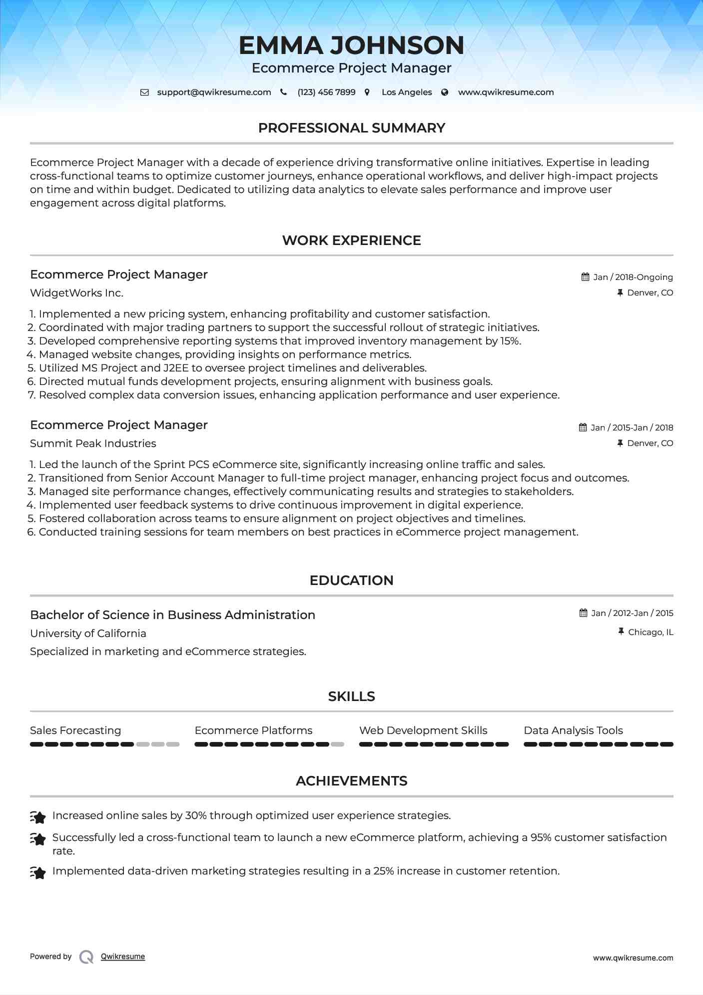 Ecommerce Project Manager Resume Sample