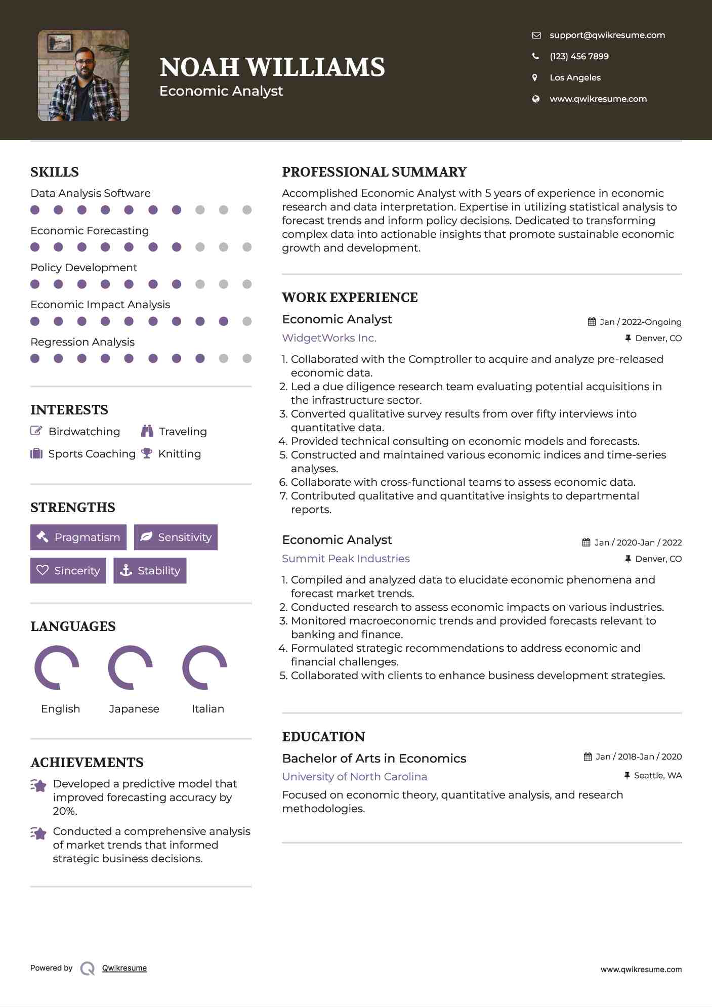 Economic Analyst Resume Template