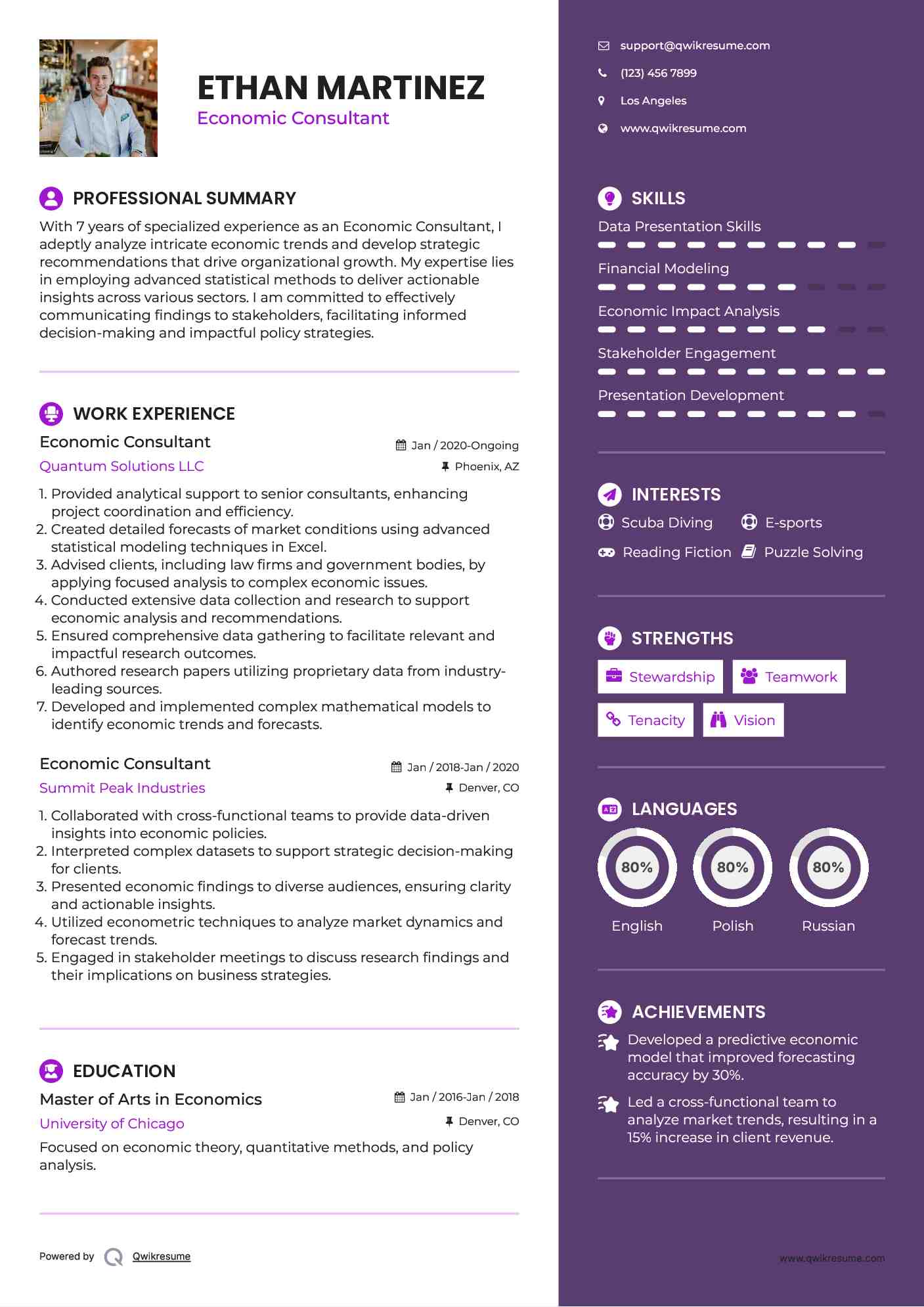 Economic Consultant Resume Template