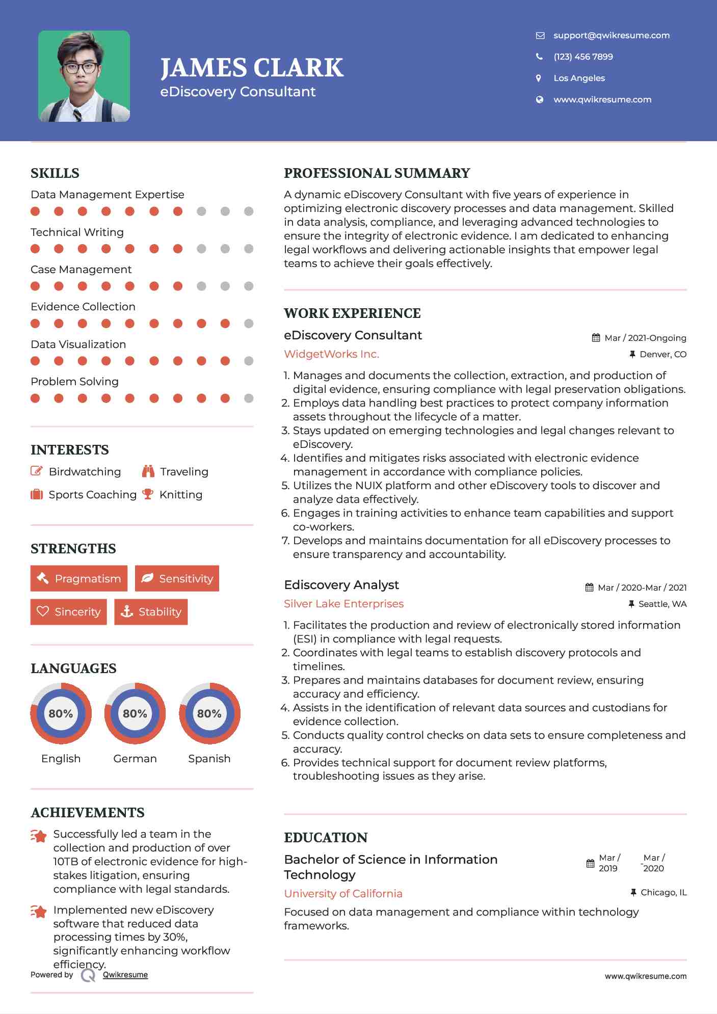 eDiscovery Consultant Resume Format