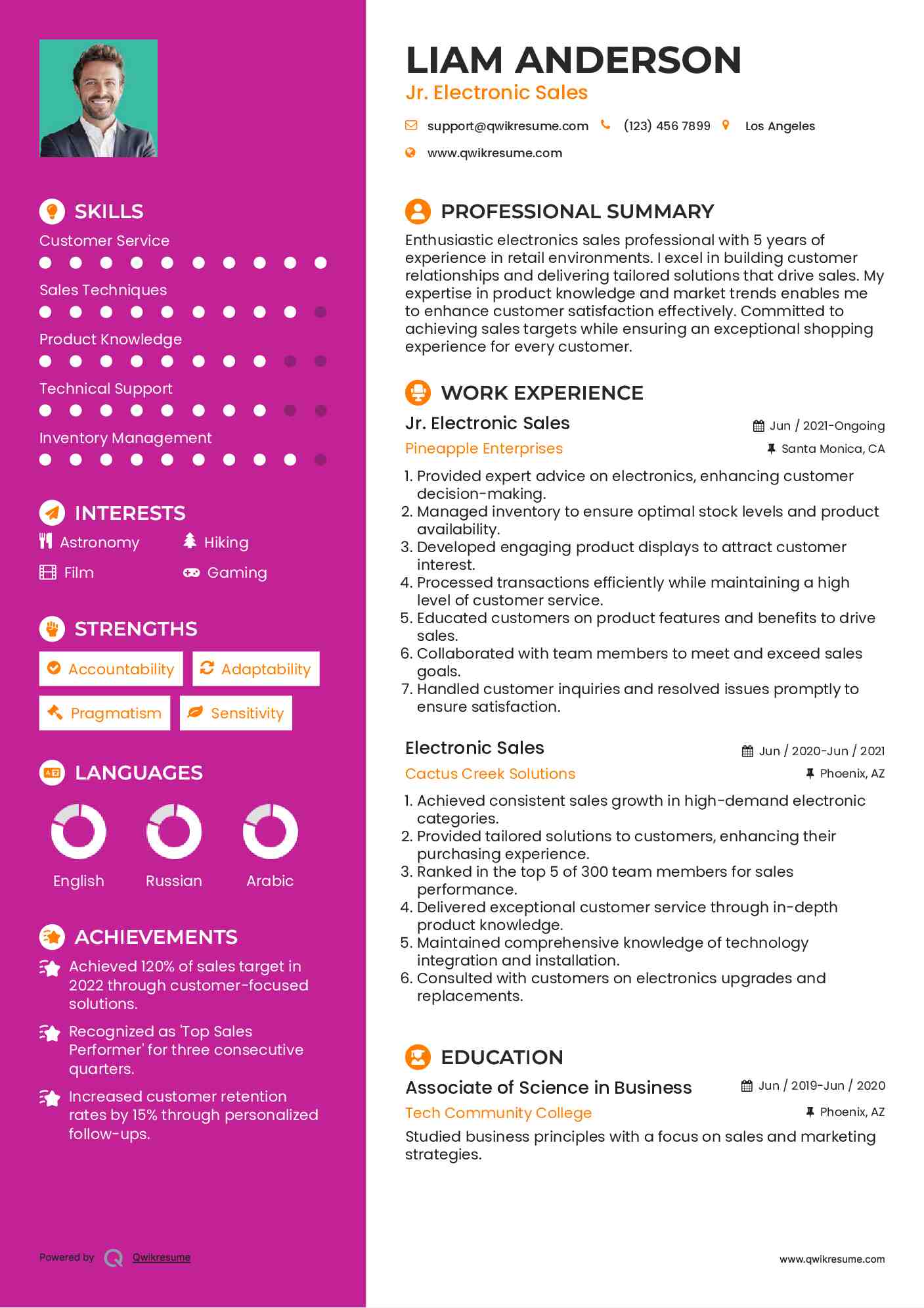 Jr. Electronic Sales Resume Template