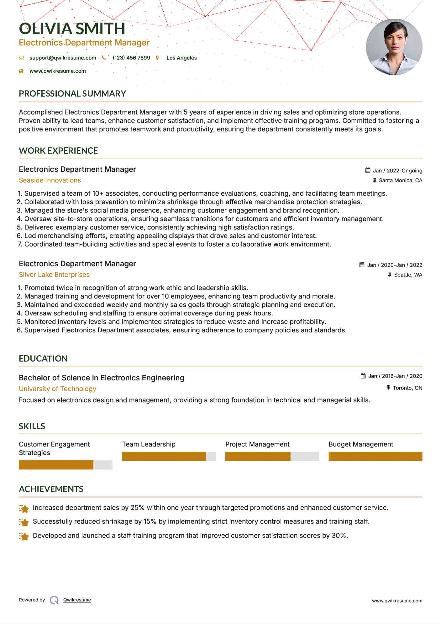 Electronics Department Manager Resume Format