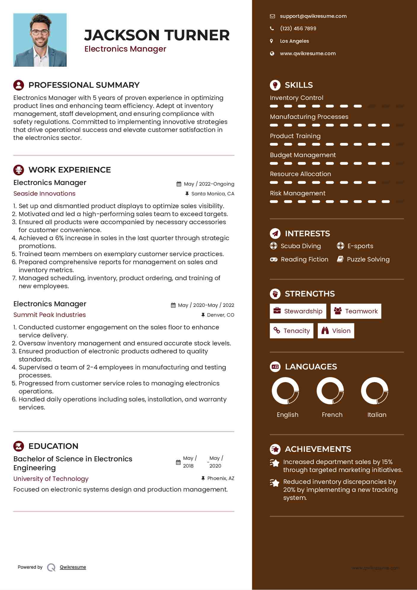 Electronics Manager Resume Format