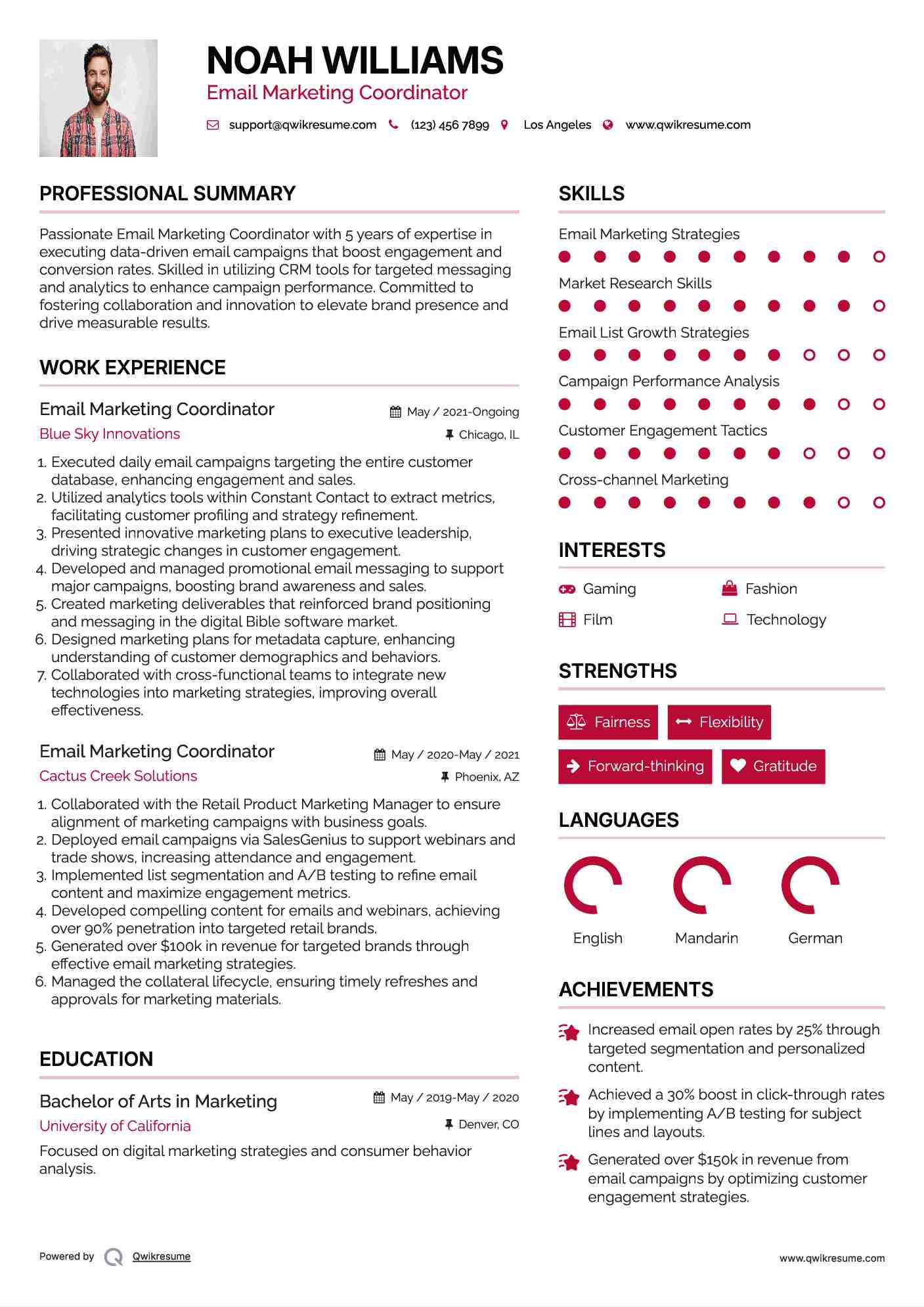 Email Marketing Coordinator Resume Model