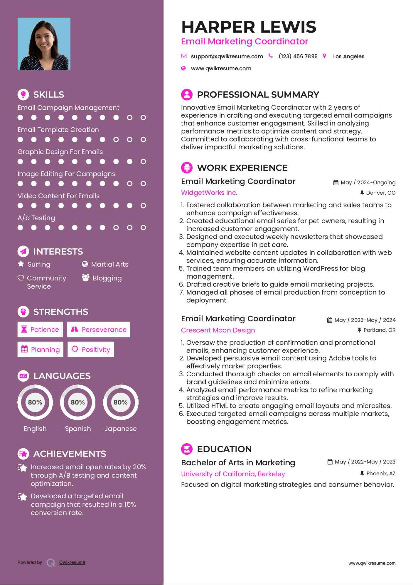 Email Marketing Coordinator Resume Example
