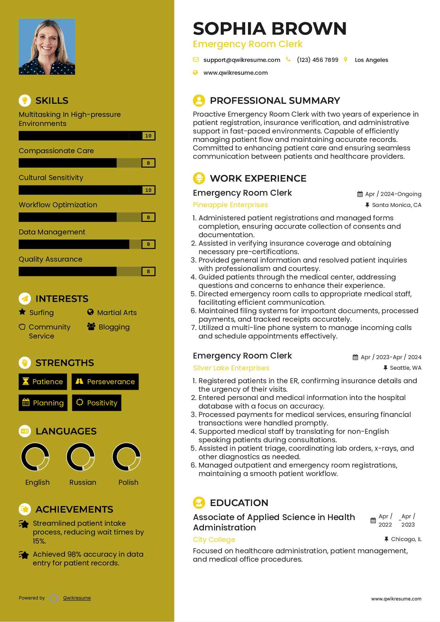 Emergency Room Clerk Resume Template