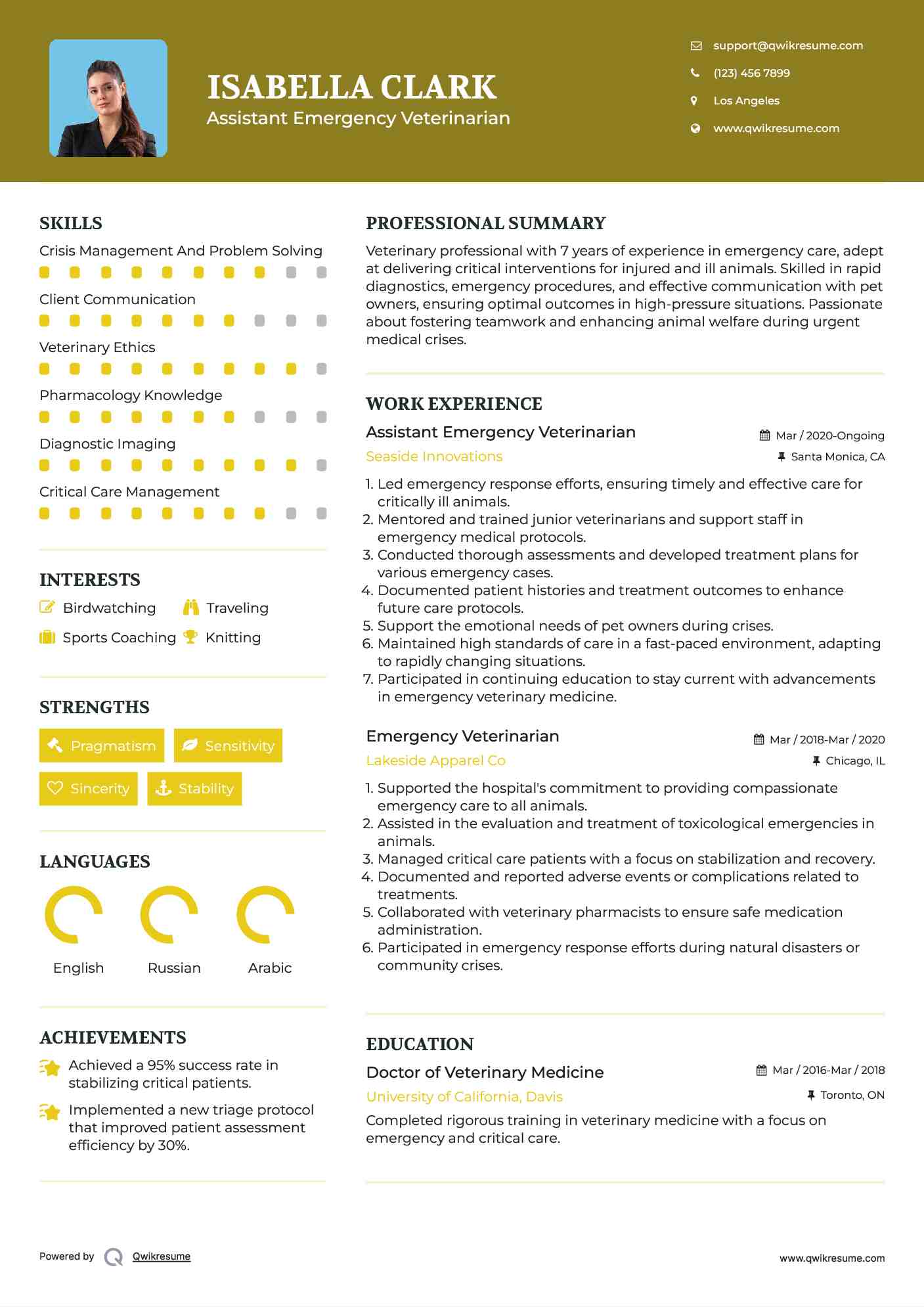 Assistant Emergency Veterinarian Resume Model