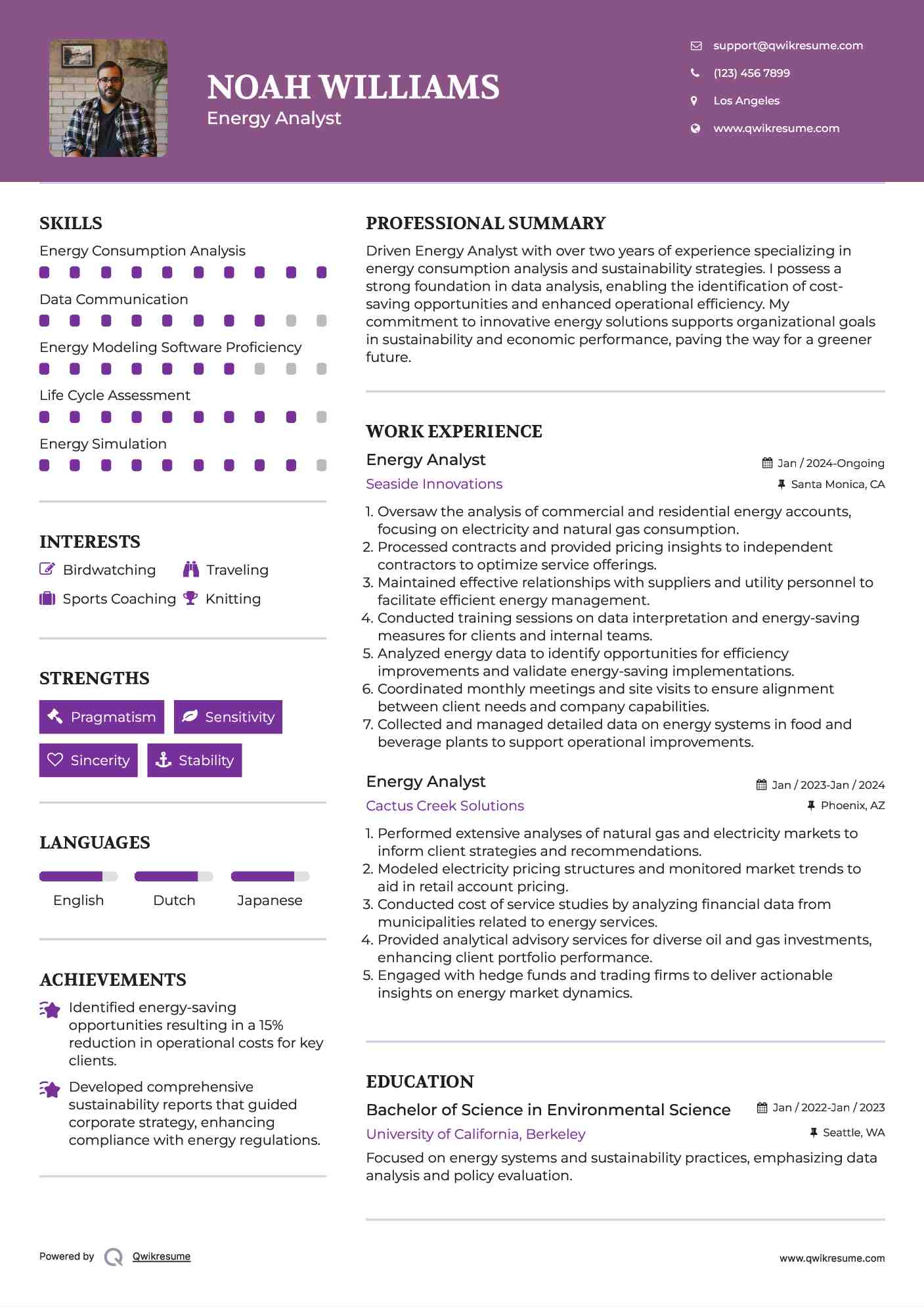 Energy Analyst Resume Format