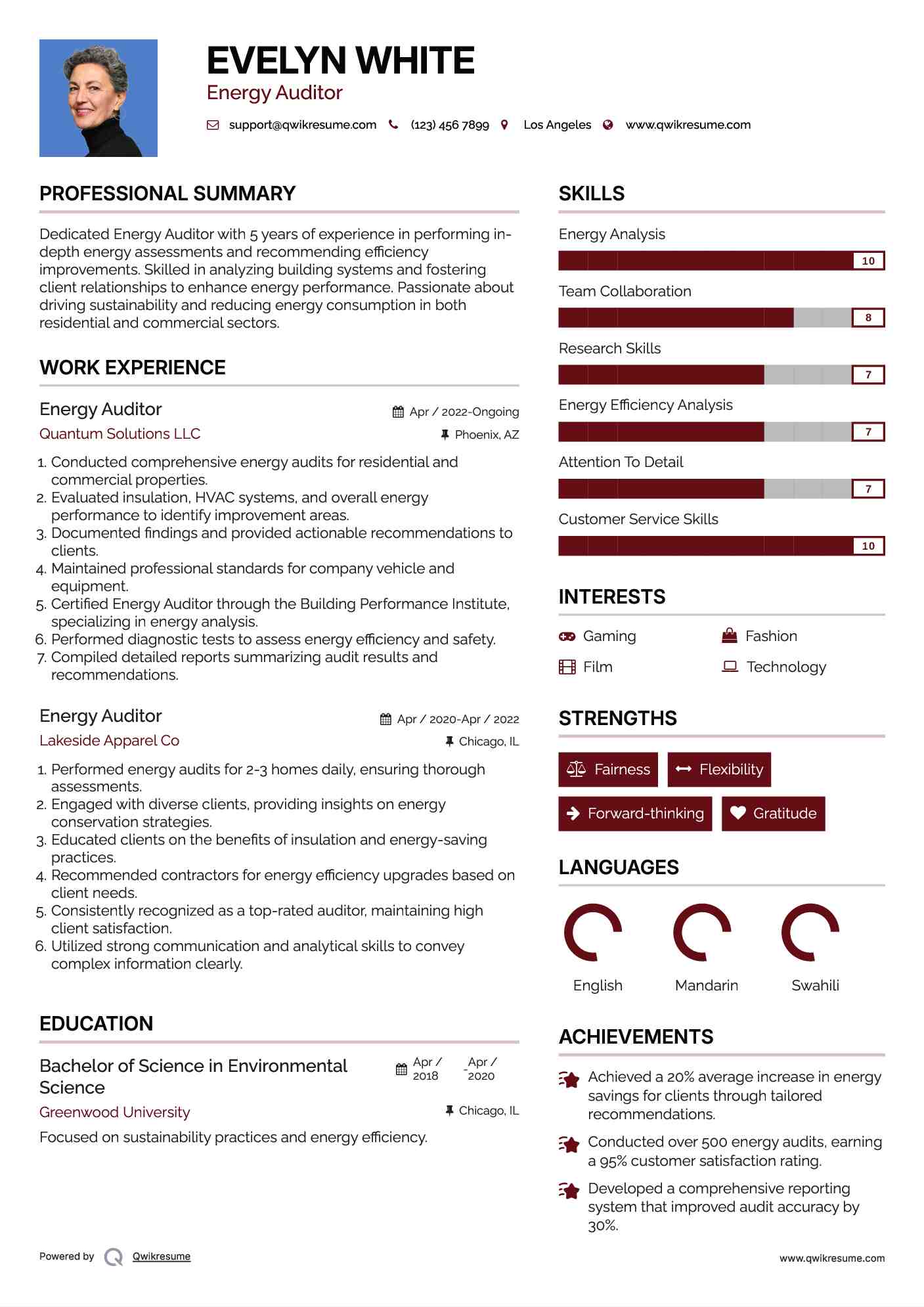 Energy Auditor Resume Sample