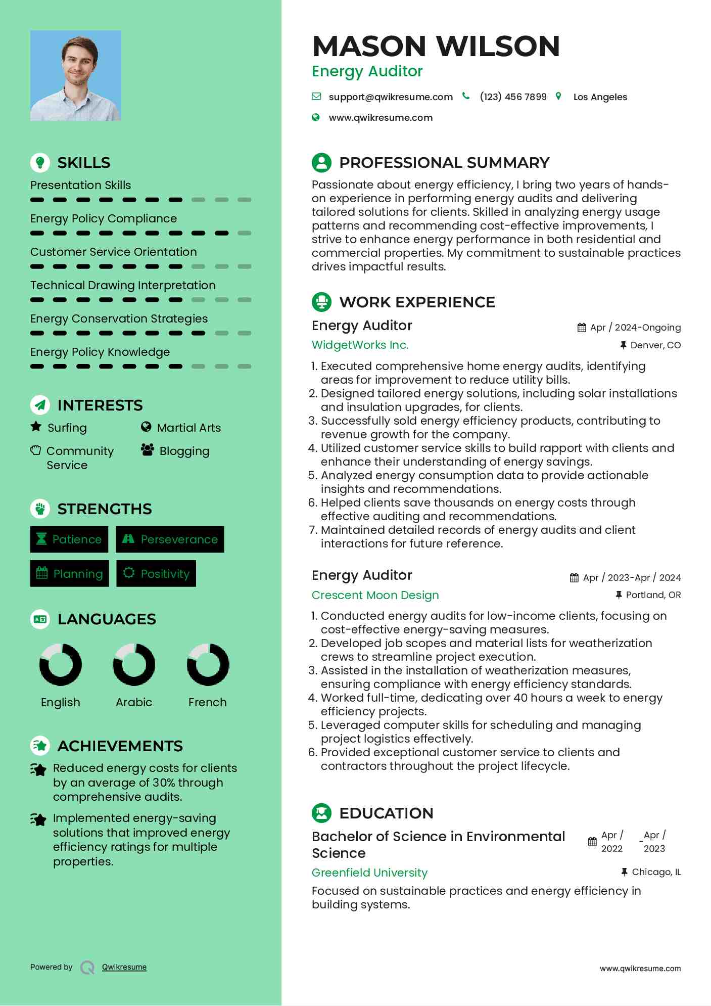 Energy Auditor Resume Model