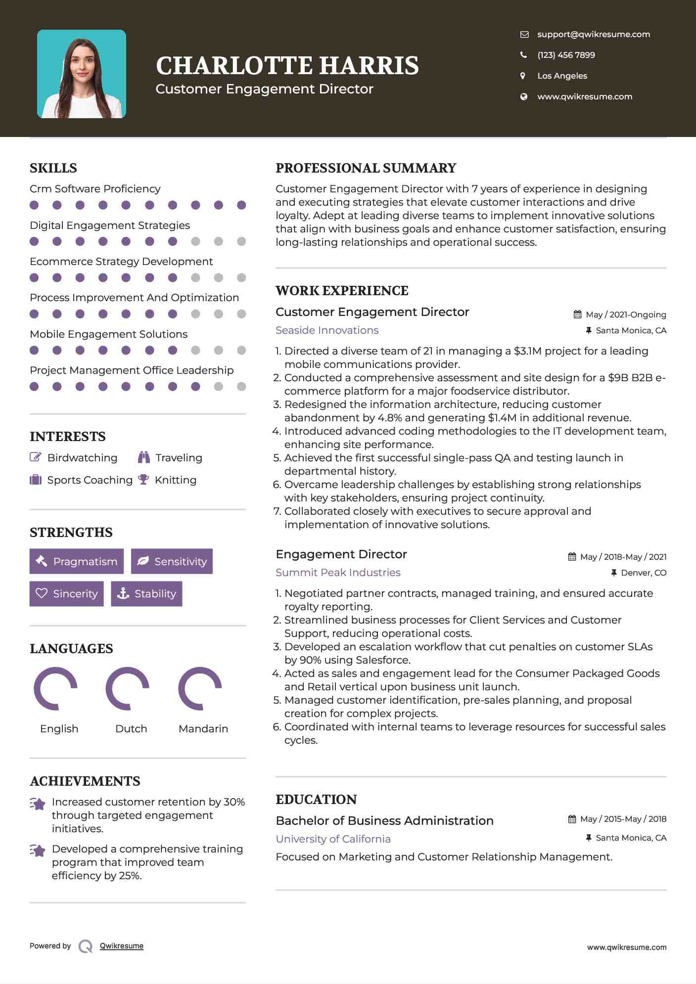 Customer Engagement Director Resume Template