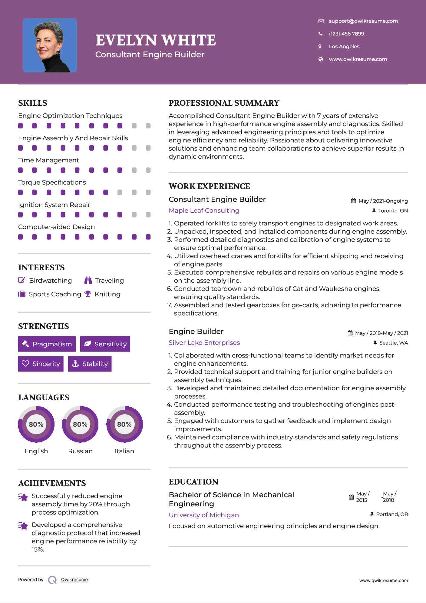 Consultant Engine Builder Resume Model