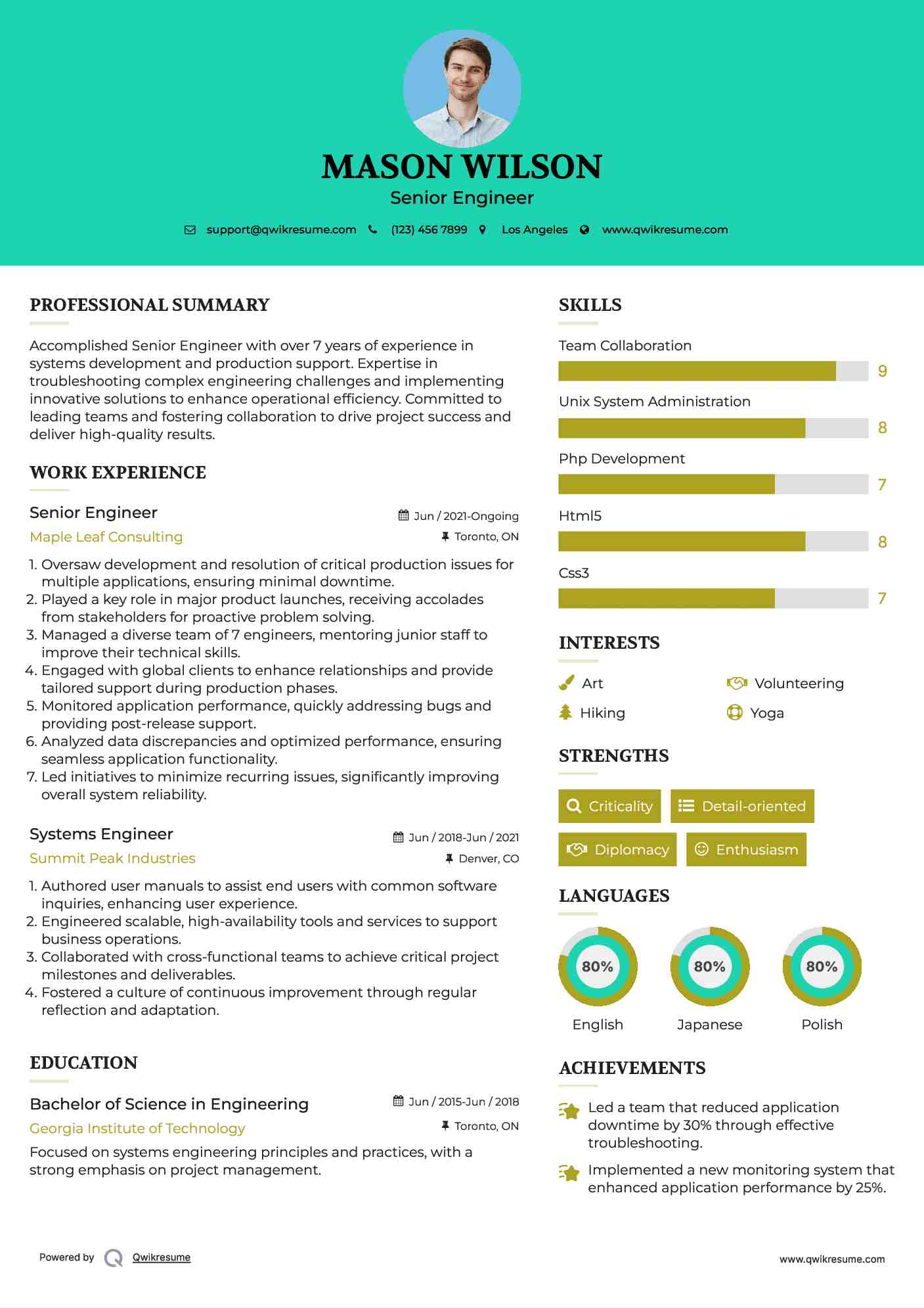 Senior Engineer Resume Model