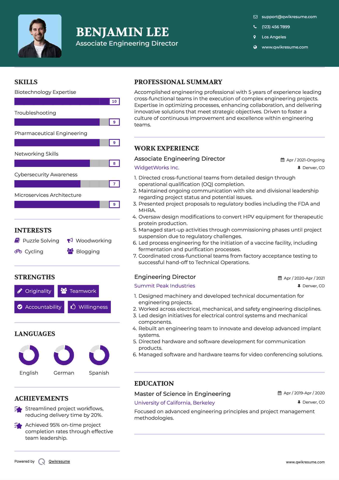 Associate Engineering Director Resume Template