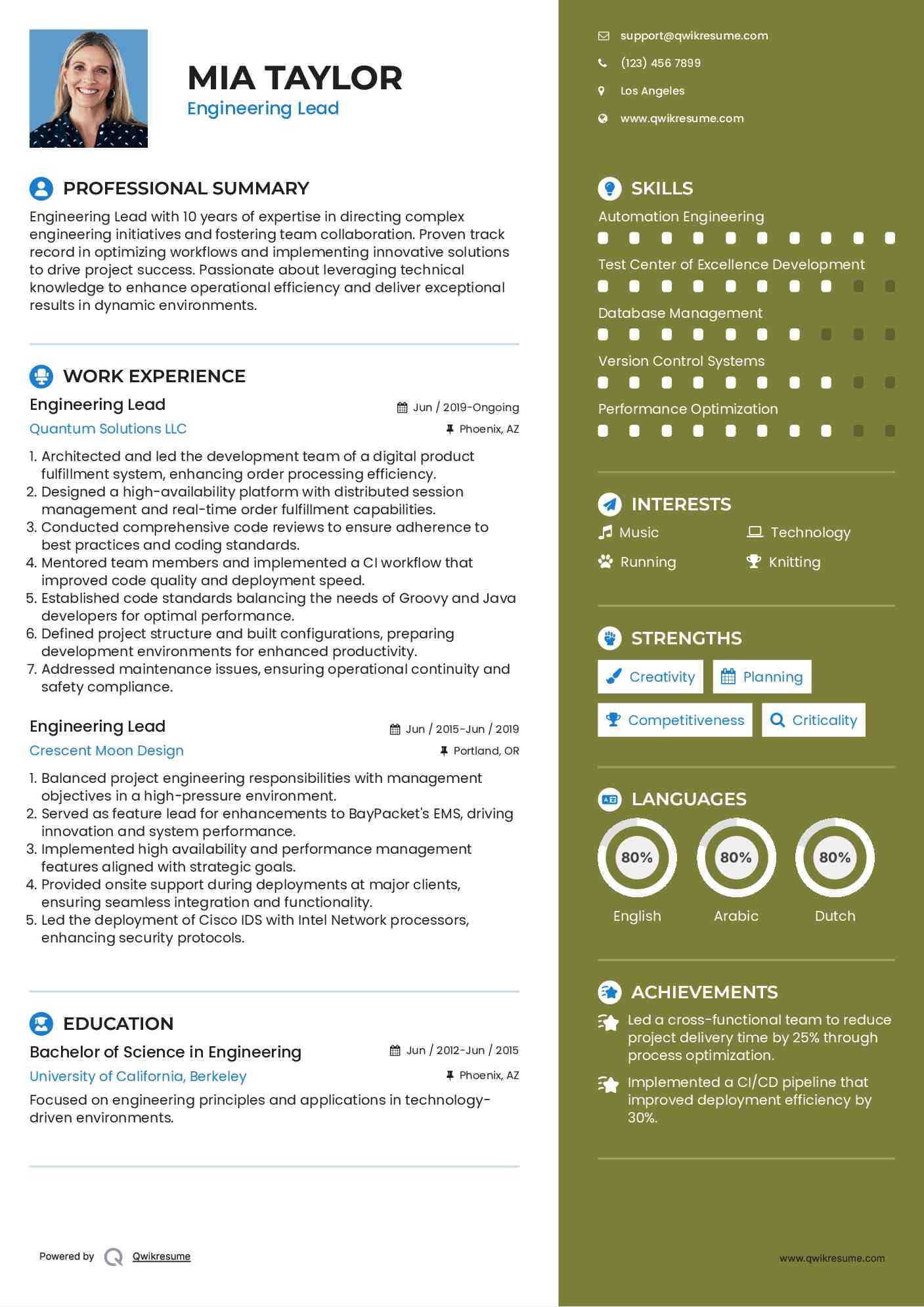 Engineering Lead Resume Model