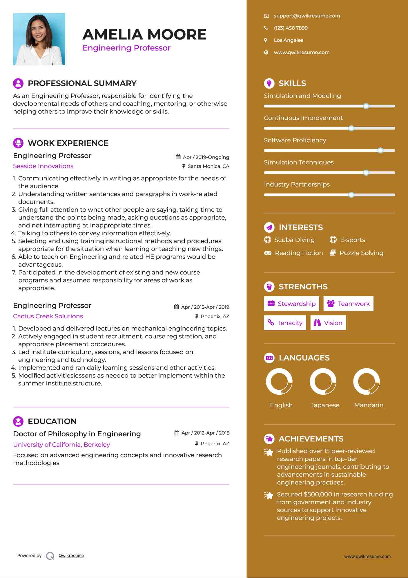 Engineering Professor Resume Template