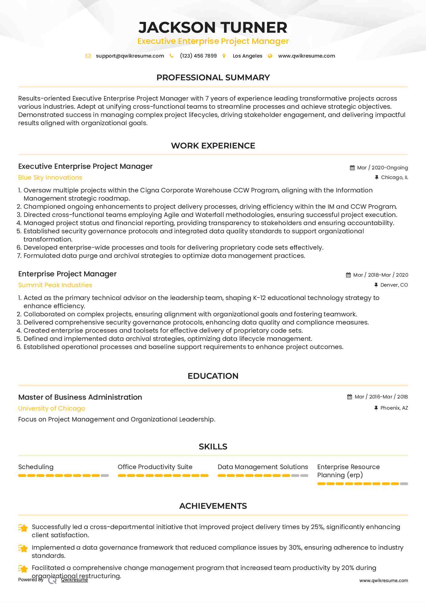 Executive Enterprise Project Manager Resume Example