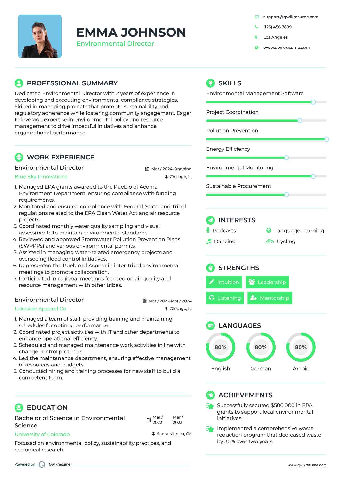 Environmental Director Resume Template