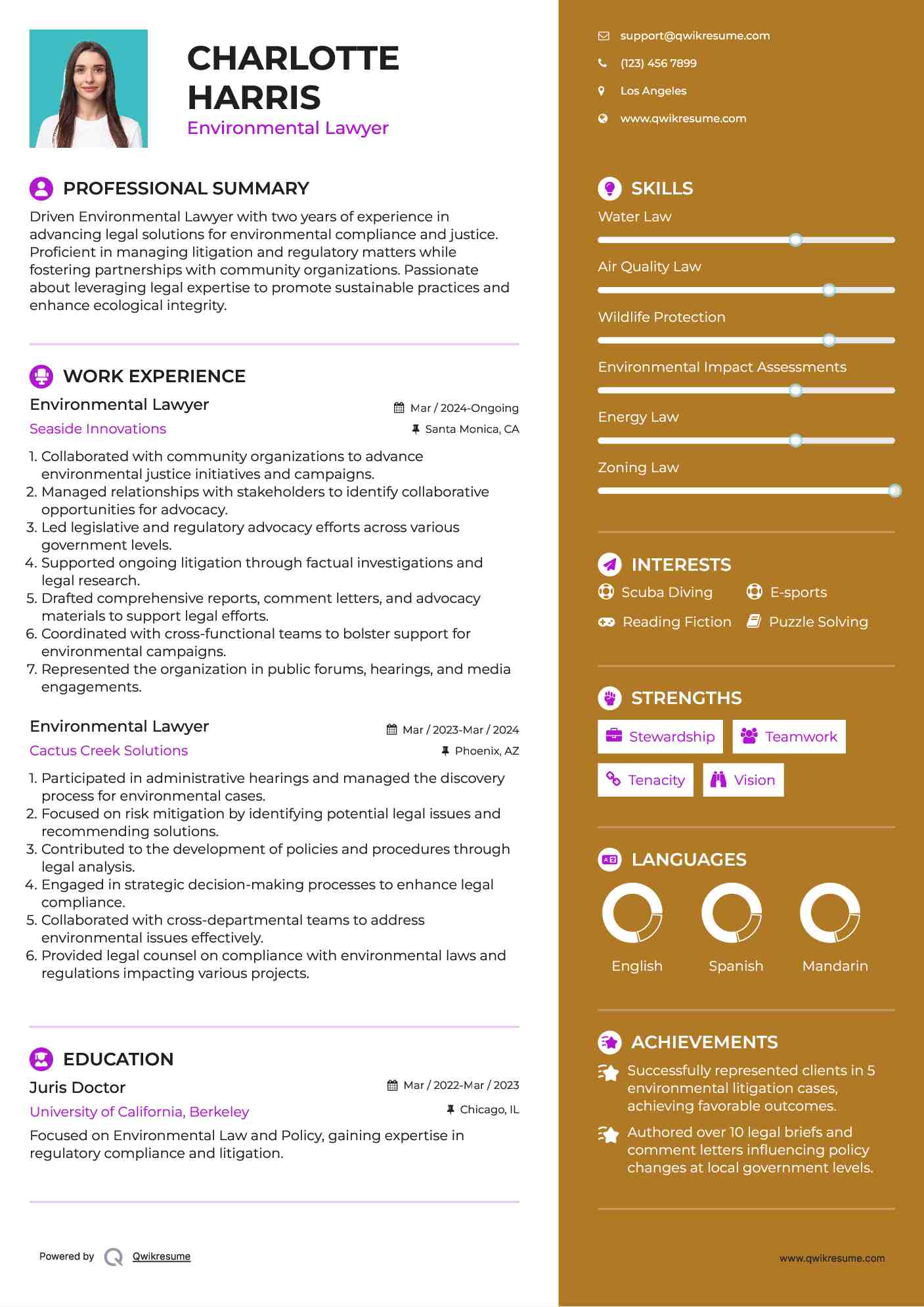 Environmental Lawyer Resume Example