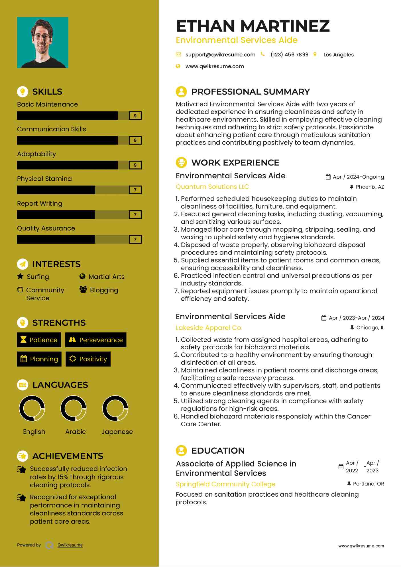 Environmental Services Aide Resume Format
