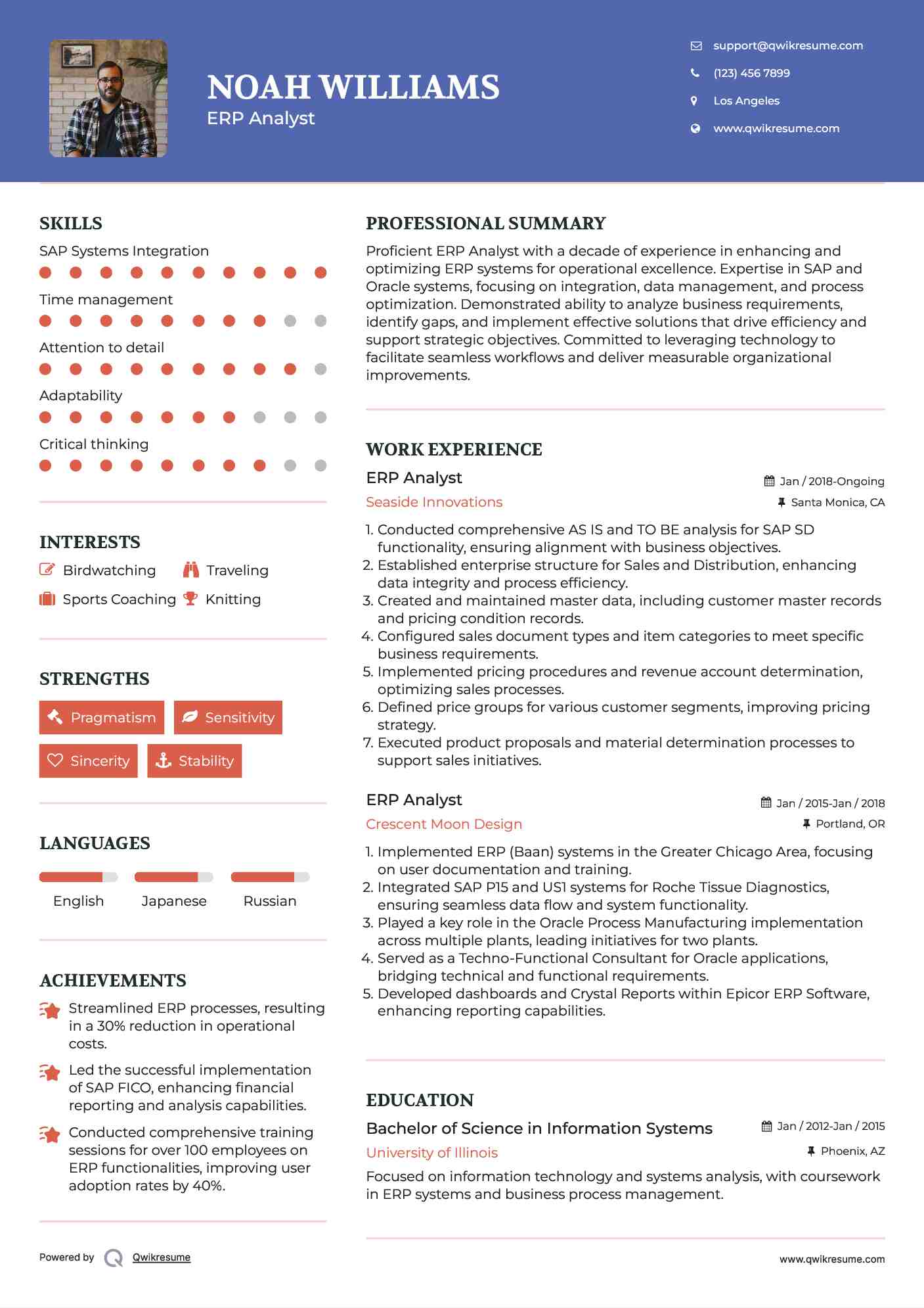 ERP Analyst Resume Format