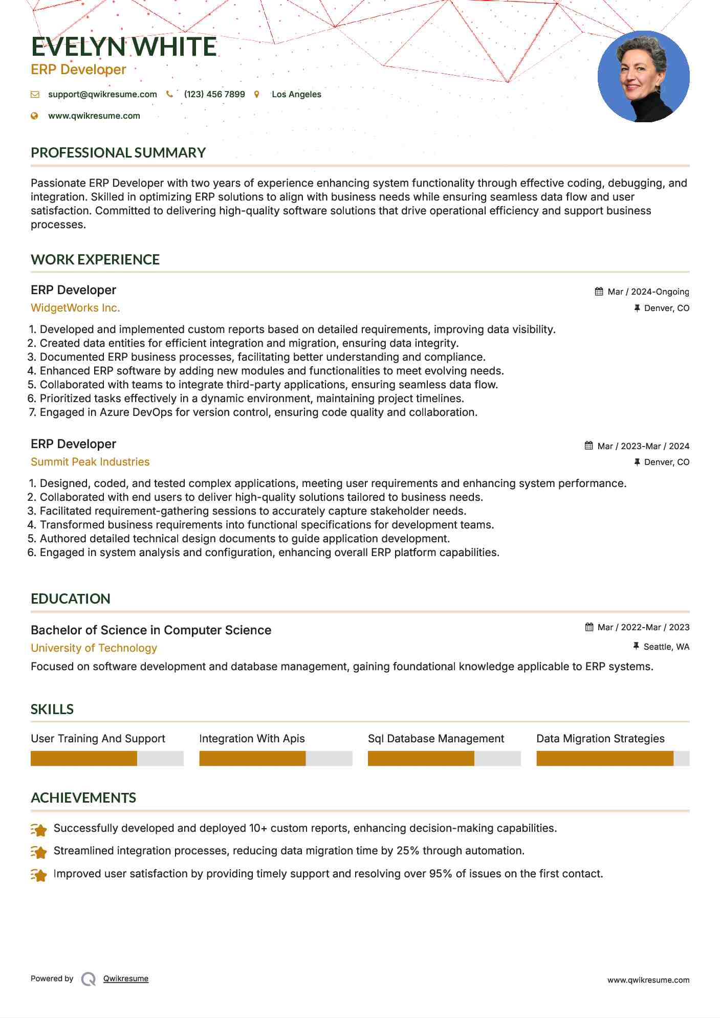 ERP Developer Resume Format